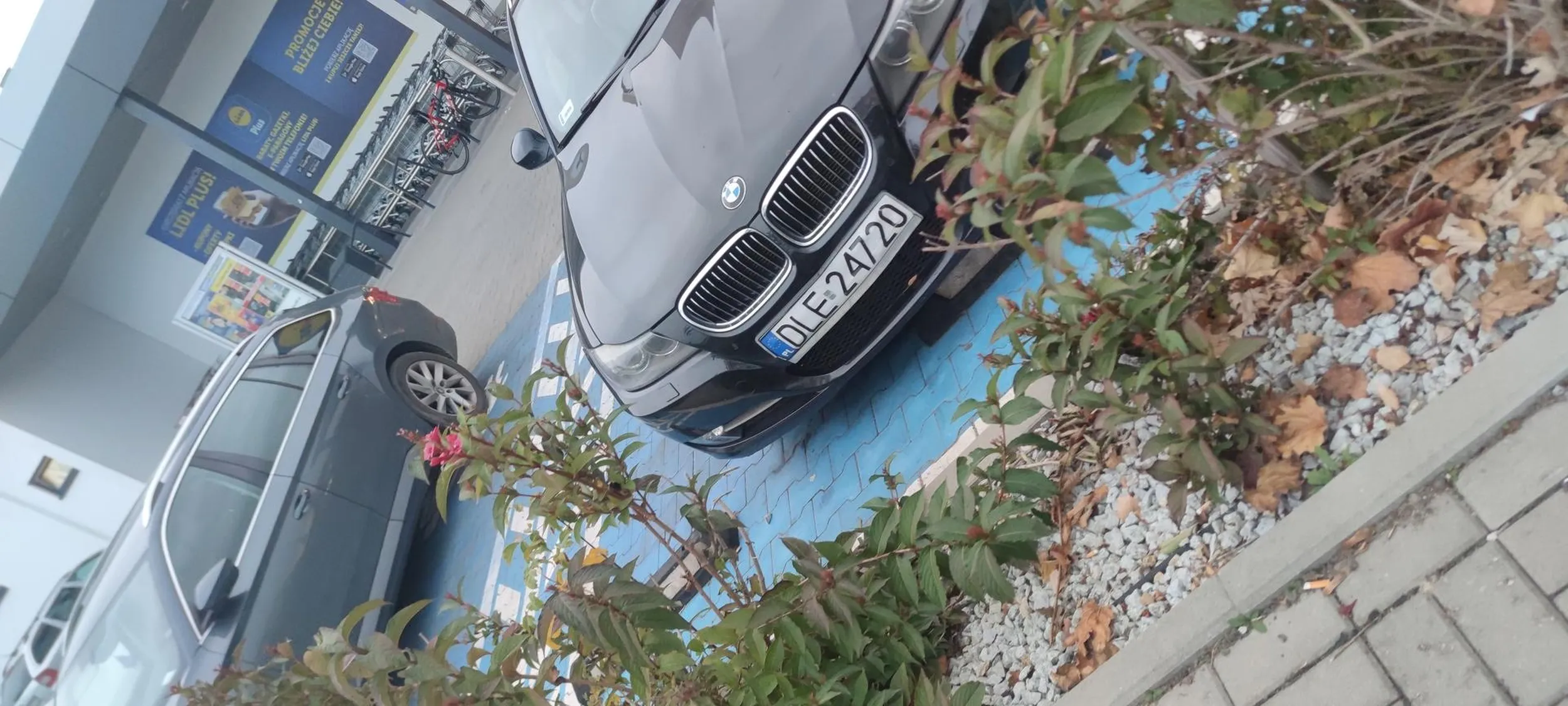 Dwoje dorosłych wiejskich dzieci przyjechało tylko pieluch brak