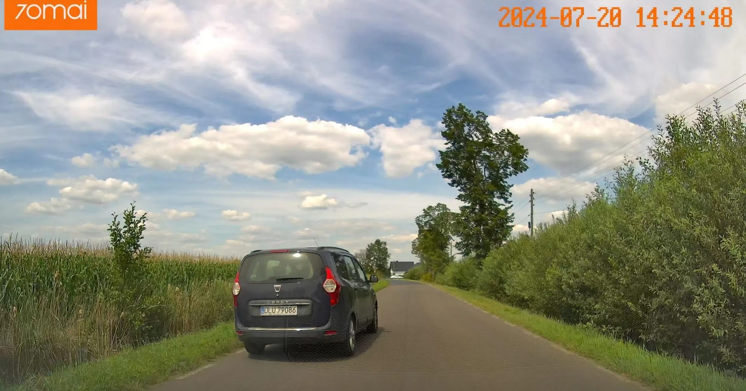 Trzeba być idiotą by zapierdzielać po wiosce i wyprzedzać auto które omija psa idącego poboczem. Jeśli ten kierowca kogoś zabije to na 99,9% z powodu nadmiernej prędkości.