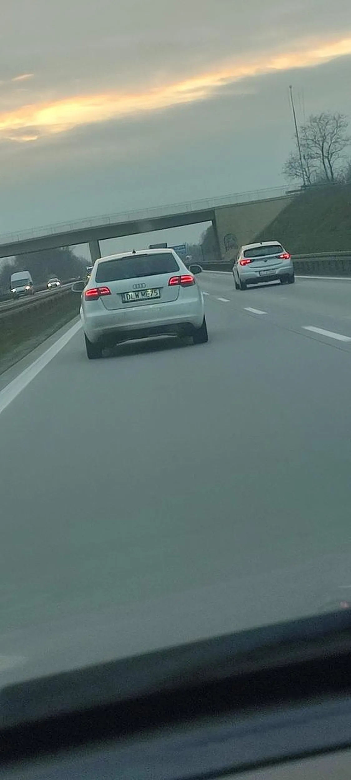 Fajna laska szybko lata po a4