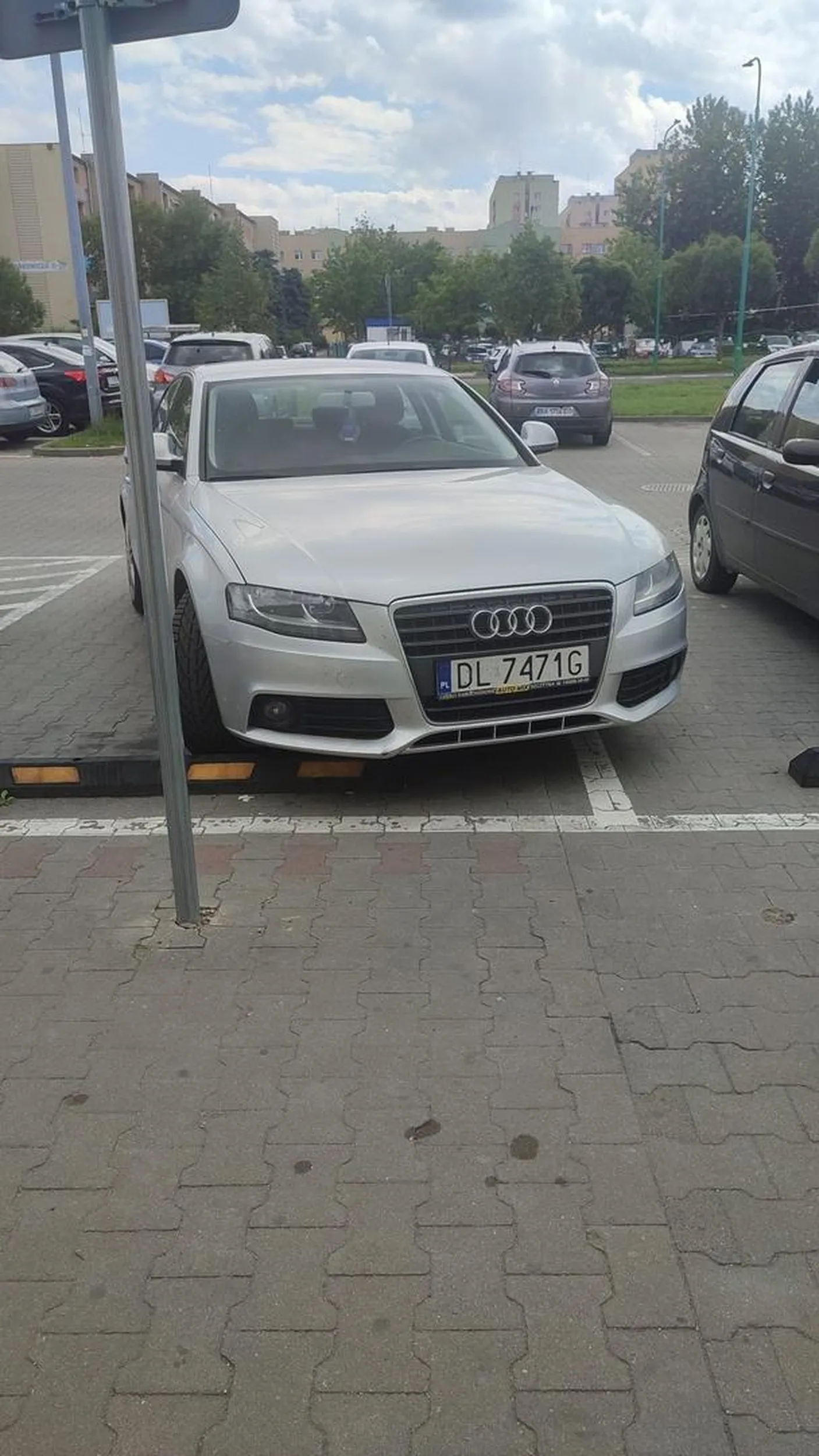 Kierowcy Audi w swoim żywiole