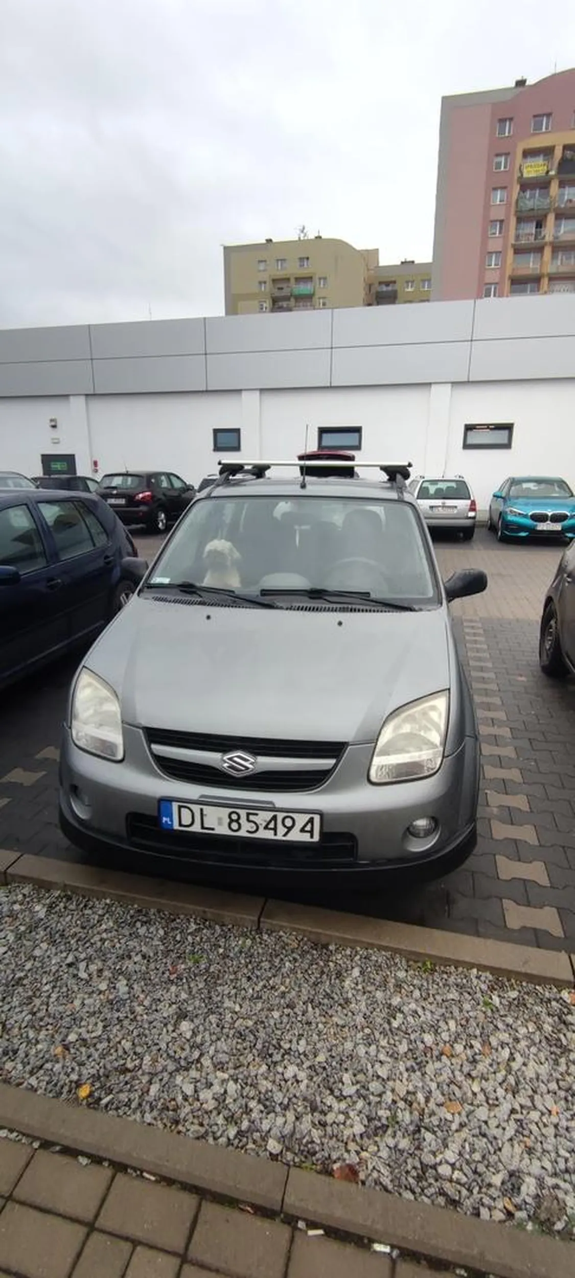 Gościu w aucie z psem stoi na światłach gdy jego pies zobaczy innego i szczeka dziadek go bije. Do tego zostawia psa w zamkniętym aucie.Miał szczęście że nie jest już lato bo wywalił bym mu szybę i zgłosił gdzie trzeba.