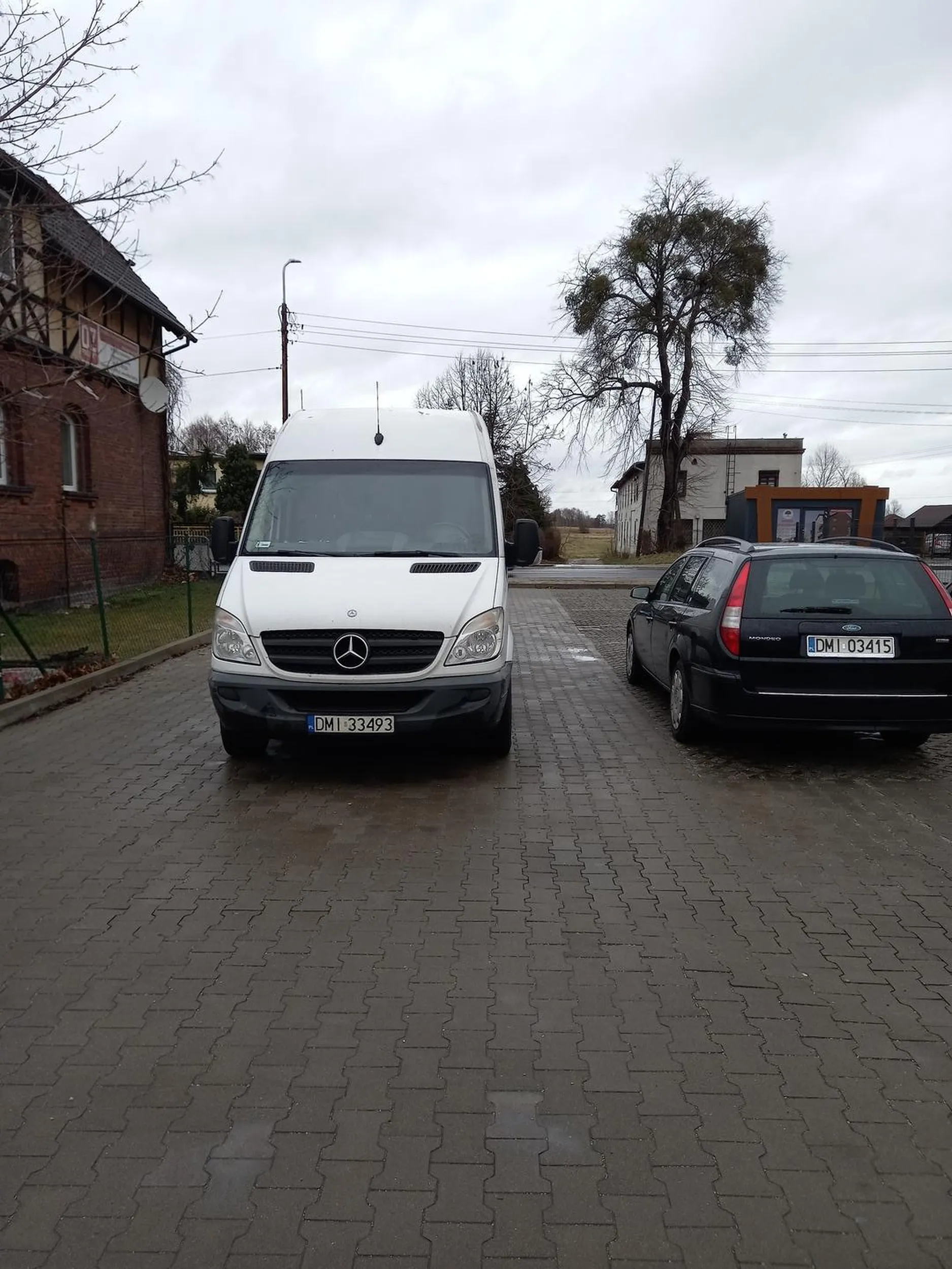 Święta krowa z busa zastawiła 6 miejsc parkingowych