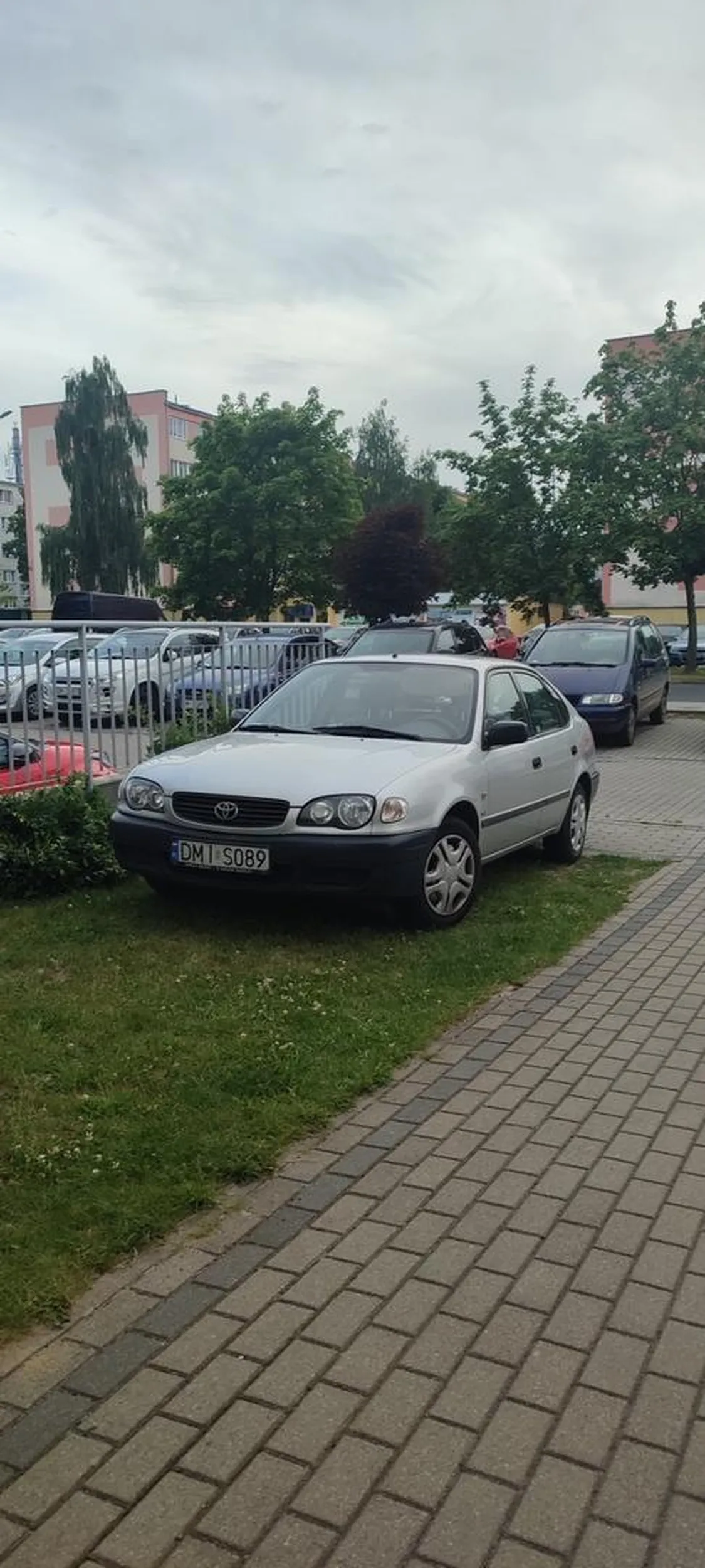 Pozdrawiam pana/panią która parkuje na trawniku