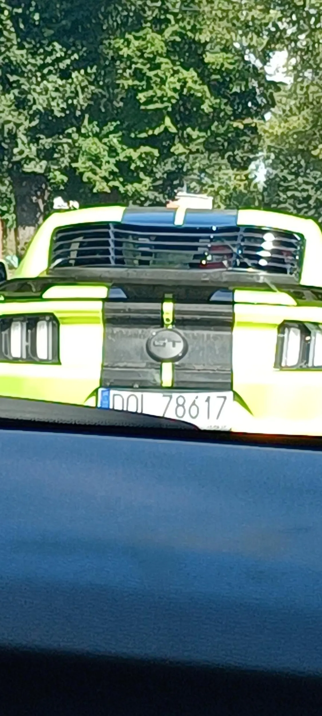 Bardzo ladny mostang i