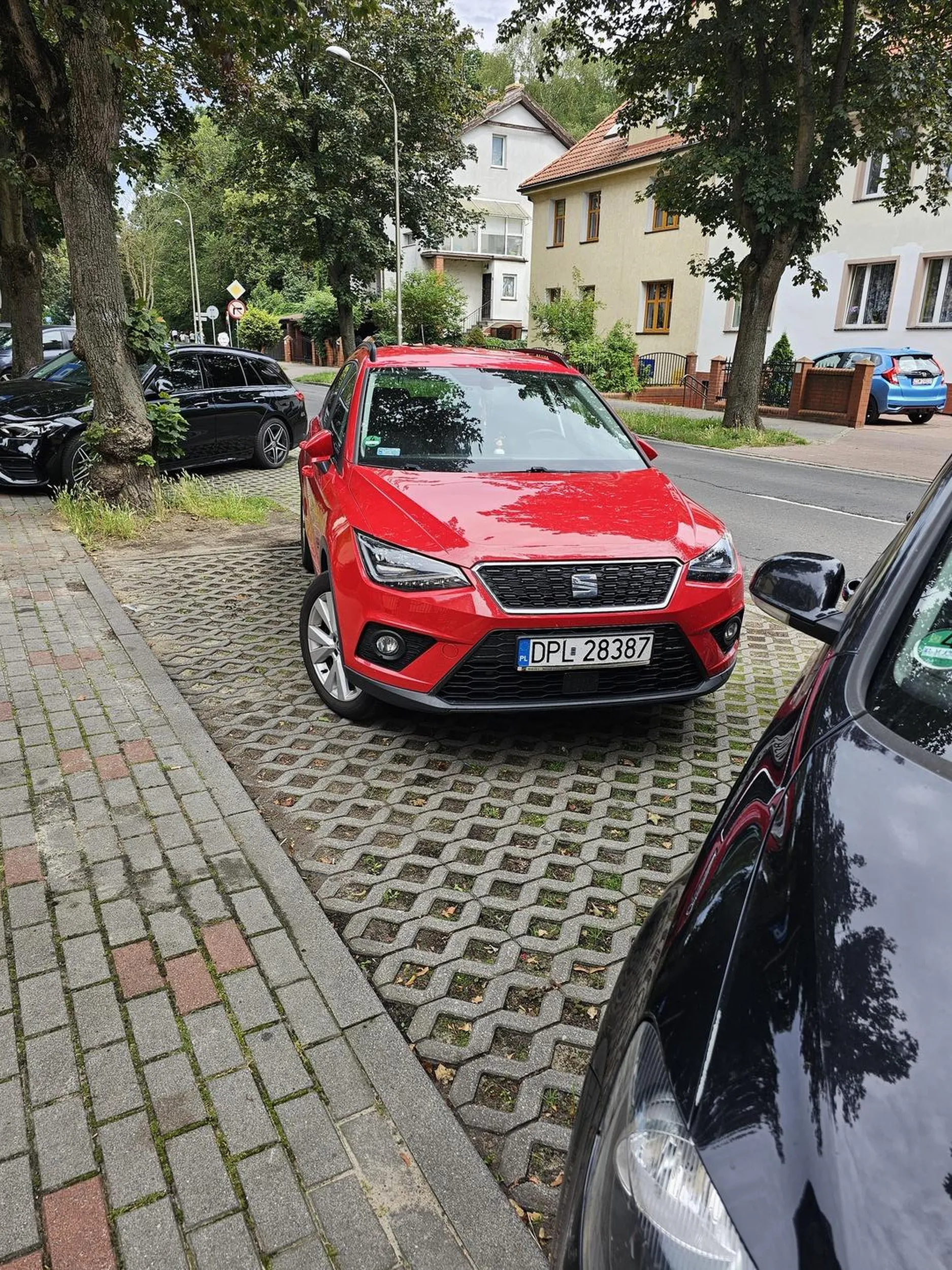 Piękny styl parkowania.