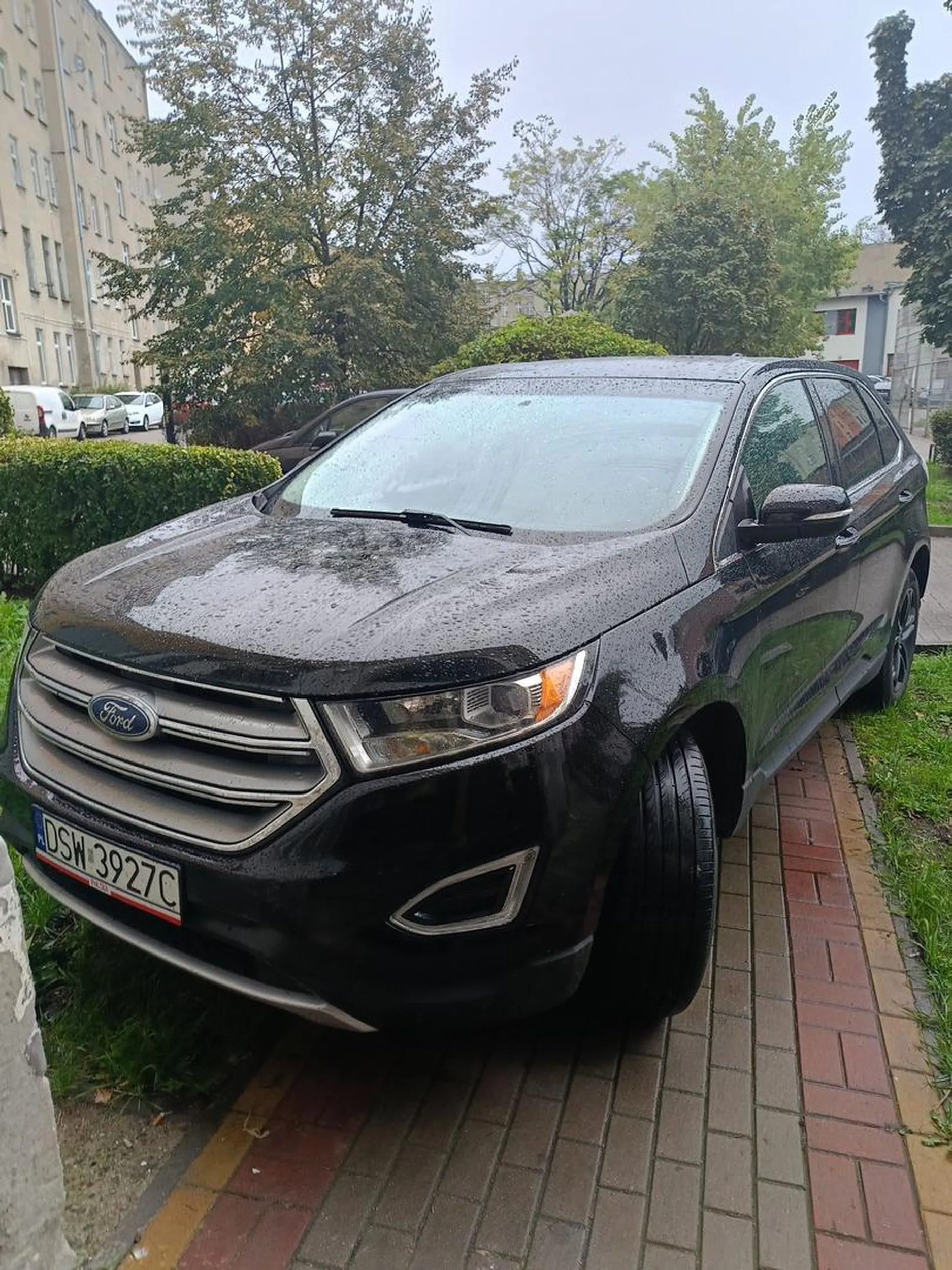 Nie wiadomo czy to krowa czy świnia.