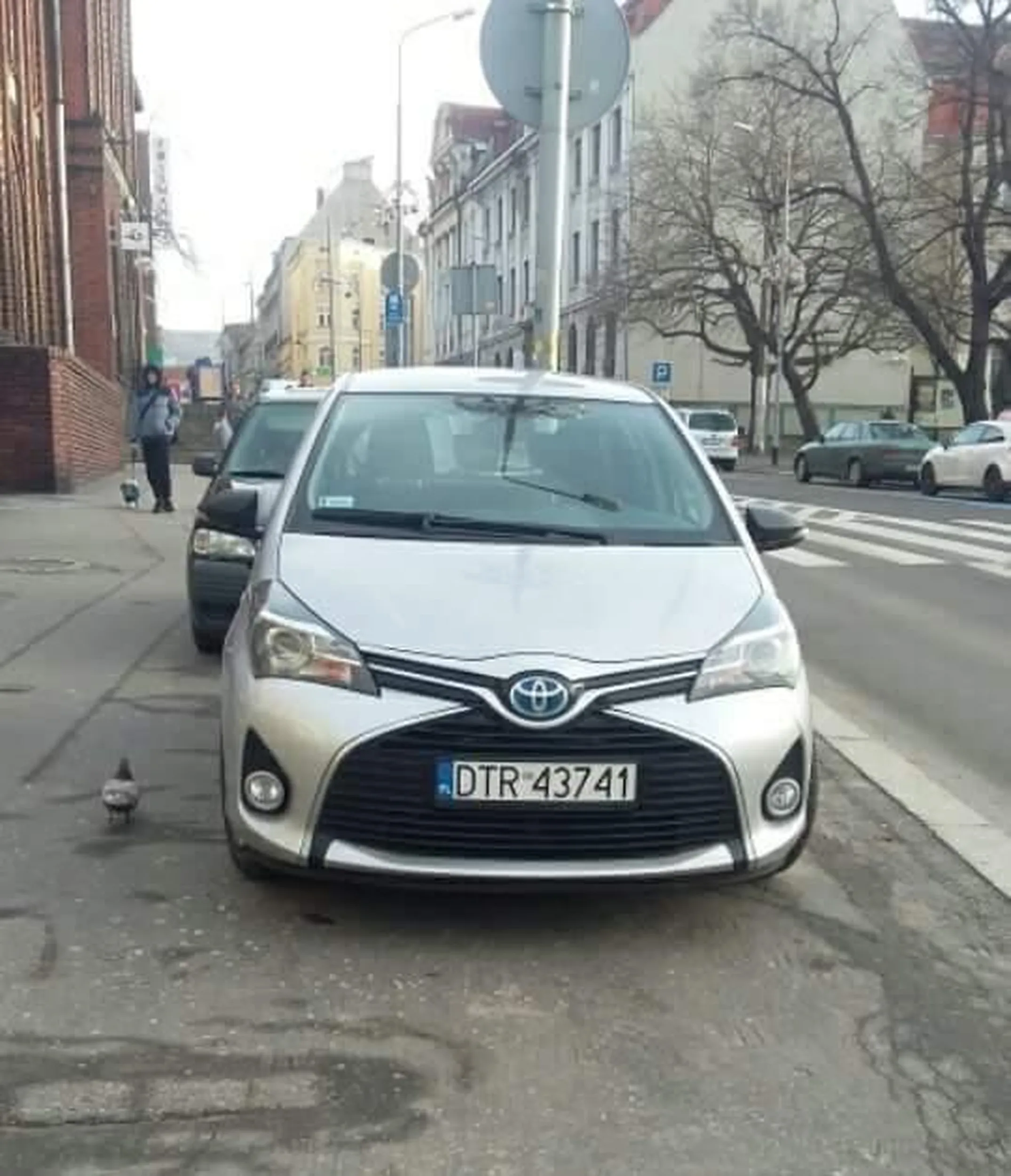 auto używane przez policję