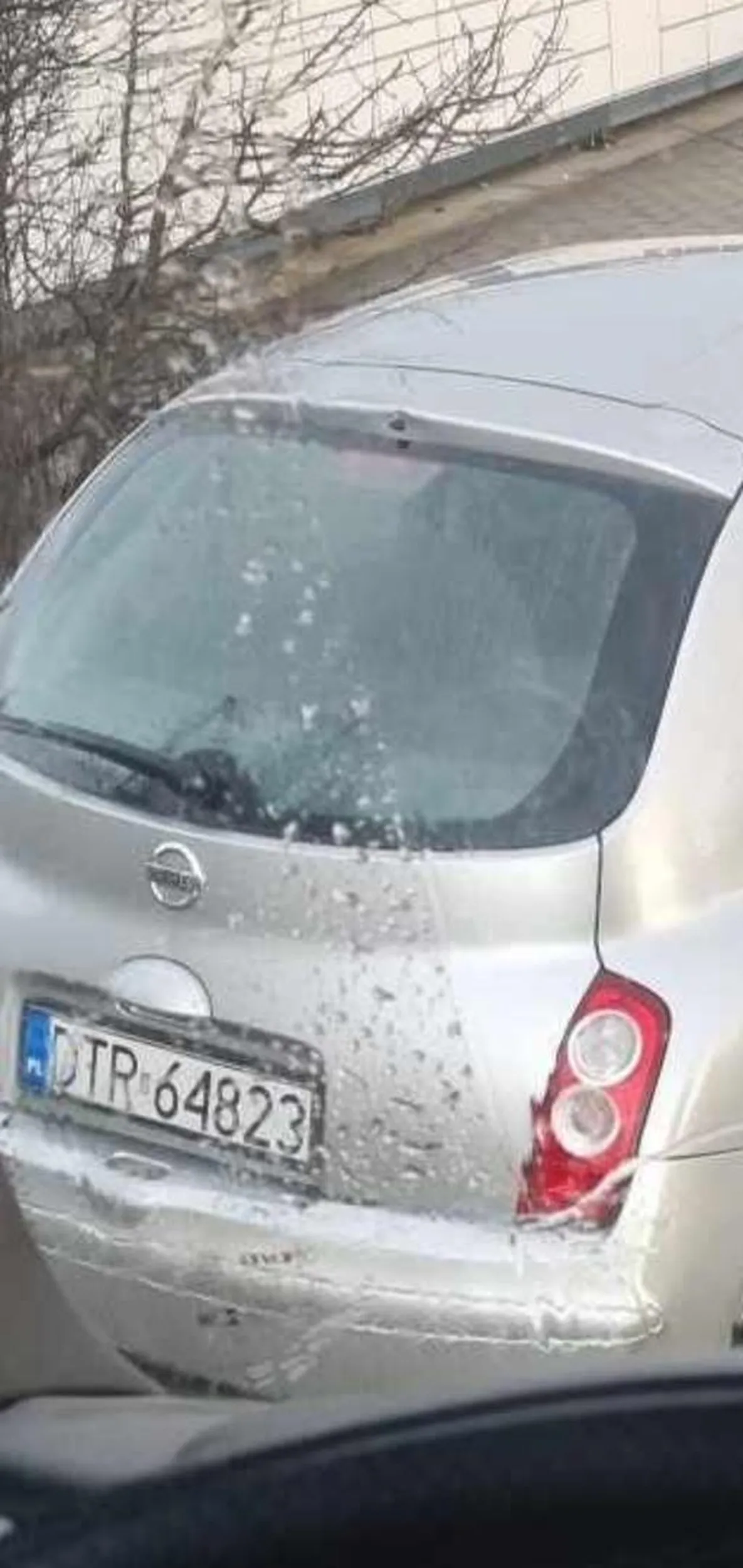 Nie potrafi parkować. Zaczepia nieletnich na ulicy i proponuję pokazanie kotków w piwnicy.