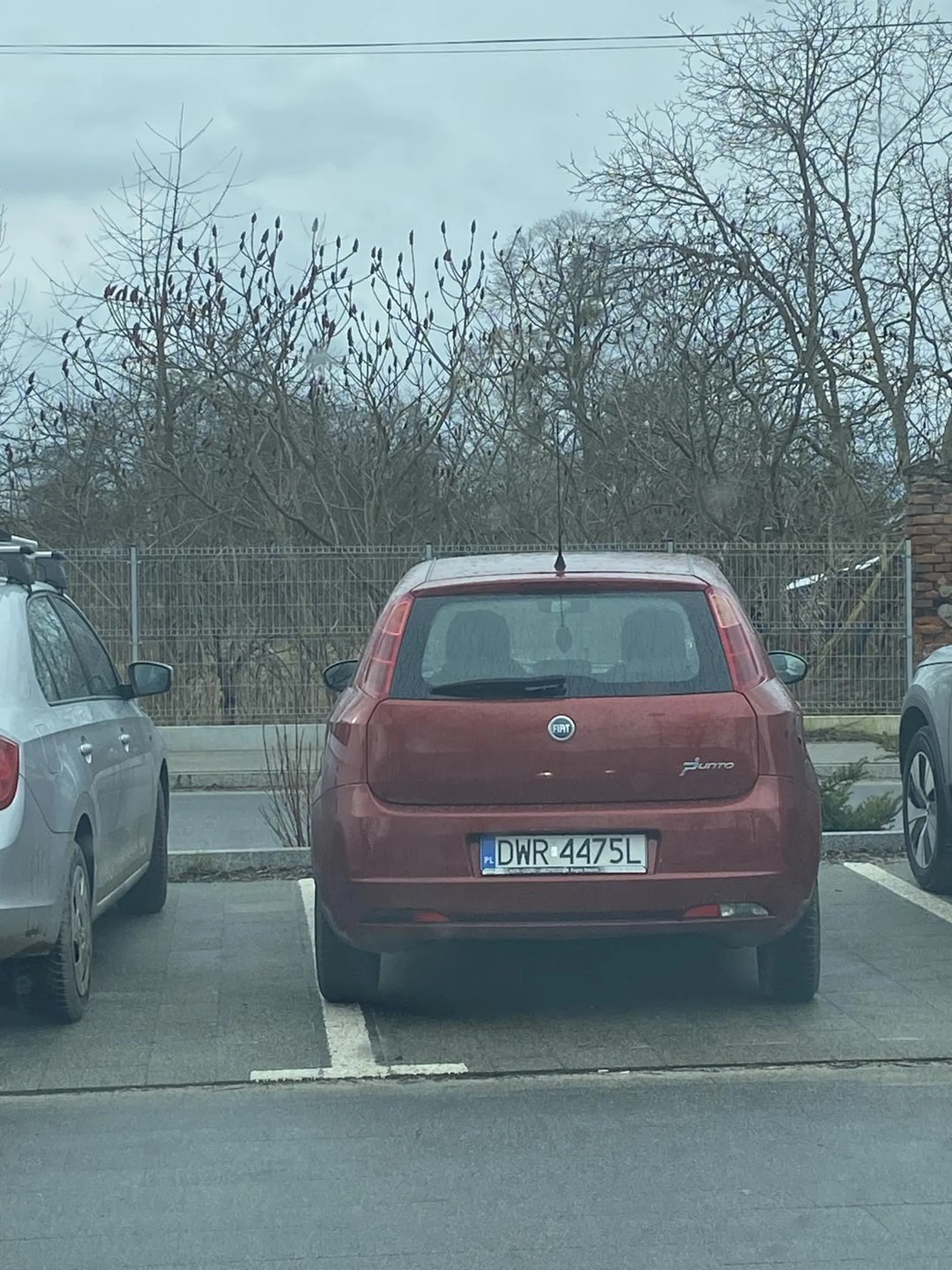 perfekcyjne parkowanie;)))