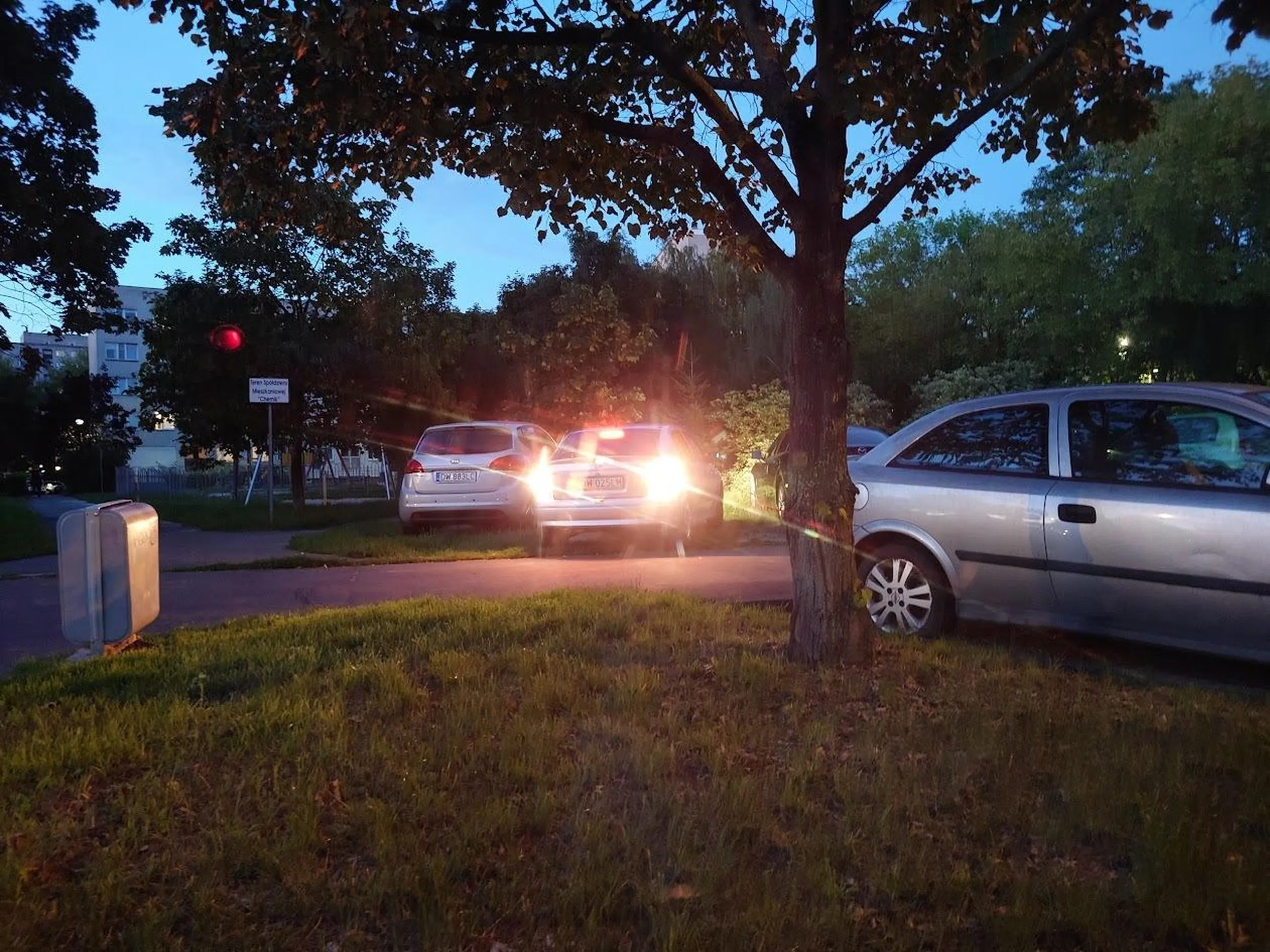 Razem z resztą baranów jeżdżą wzdłuż chodnika