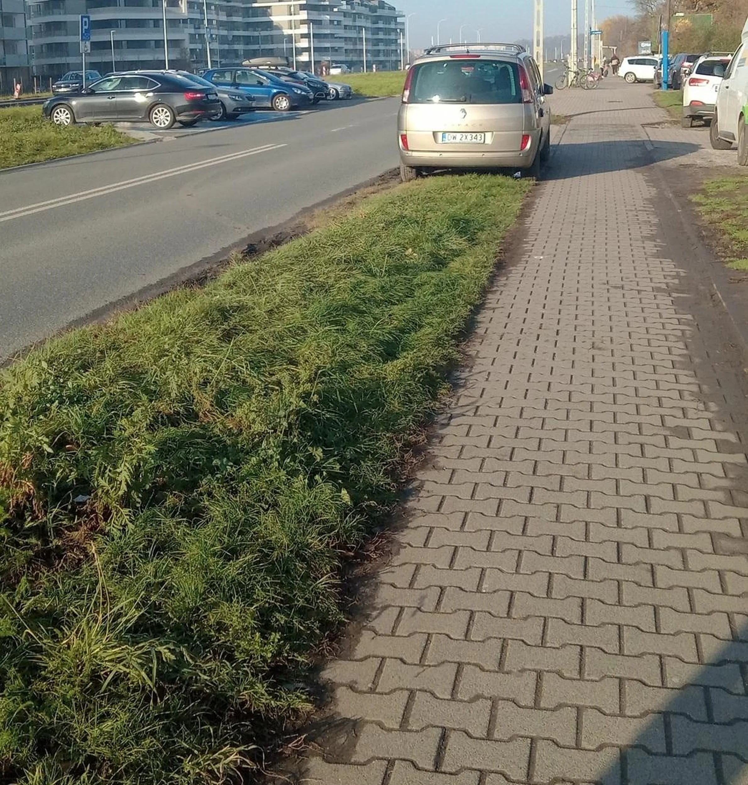 Piękne parkowanie na trawniku. A kawałek dalej wolne miejsca