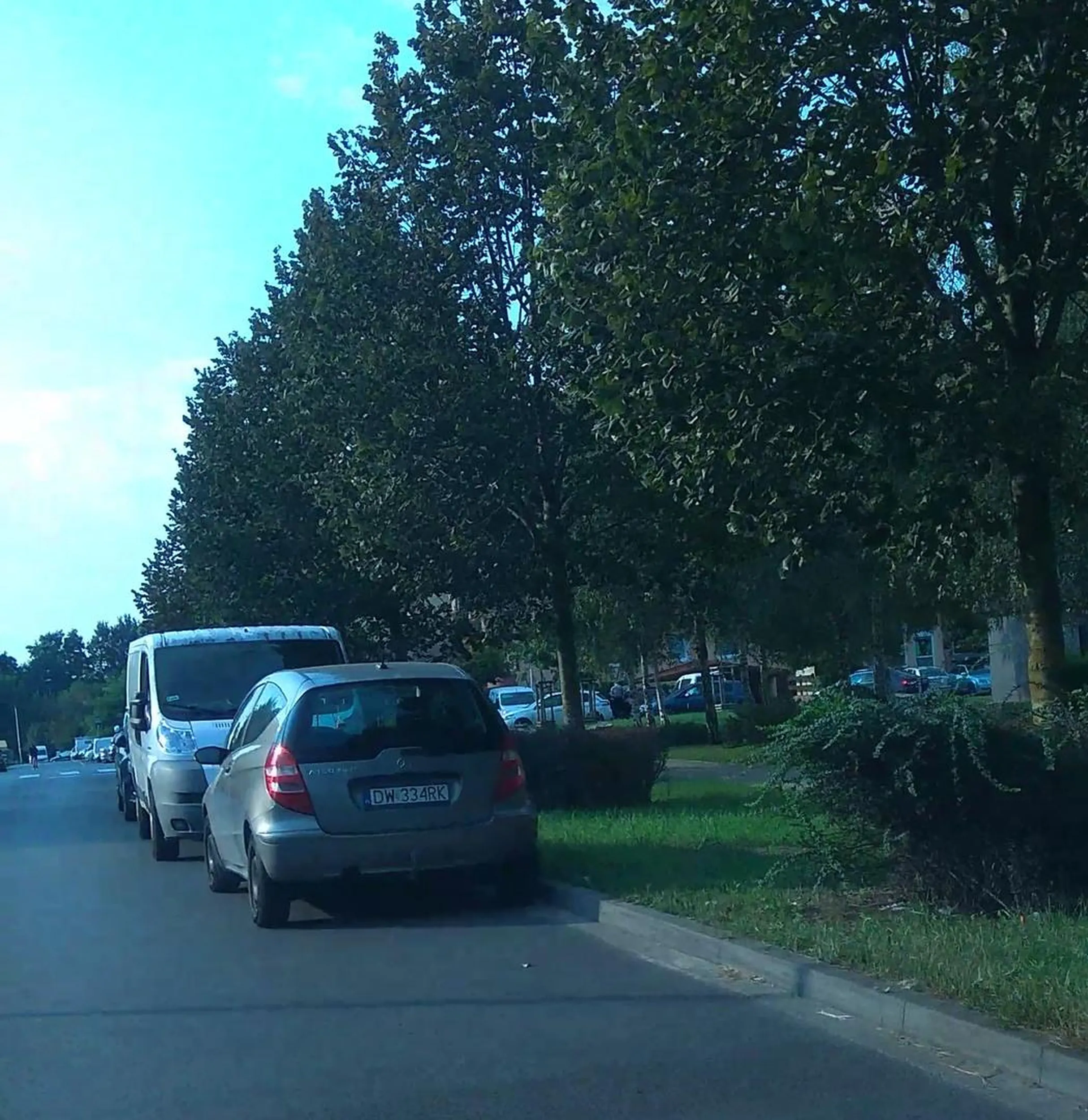 parkowanie na zakazie zatrzymywania