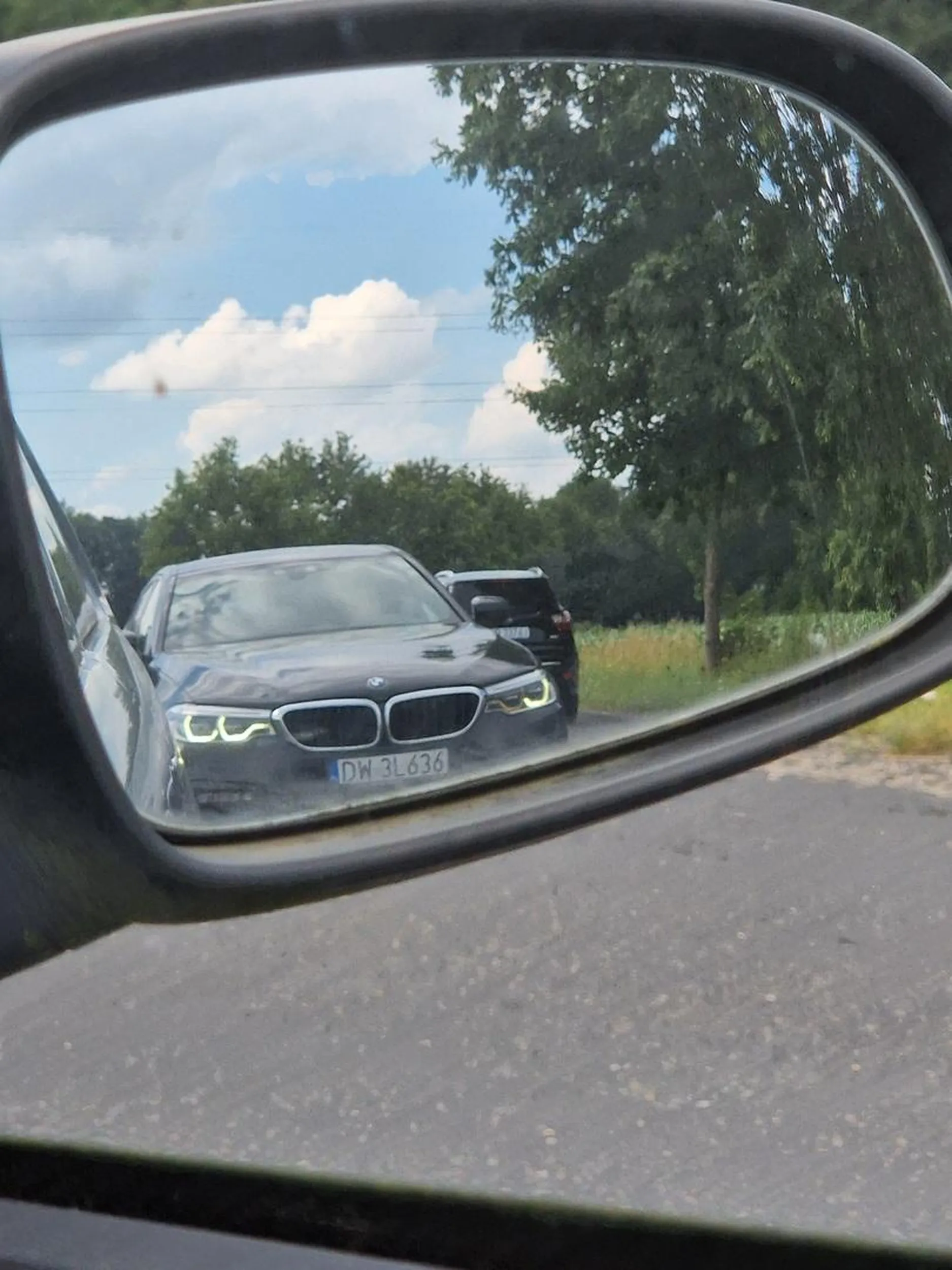 Pani z samochodu ze zdjęcia, wysiadła z auta i szła wzdłuż drogi z kotem, którego złapała do rąk, chroniąc przed nadjeżdżającym tirem z naprzeciwka, a później pozostawiła tego kota w krzakach i wróciła do samochodu. Mam nadzieję, że miało to na celu zabezpieczenie kota, który przebywał na ulicy, a nie jego porzucenie.