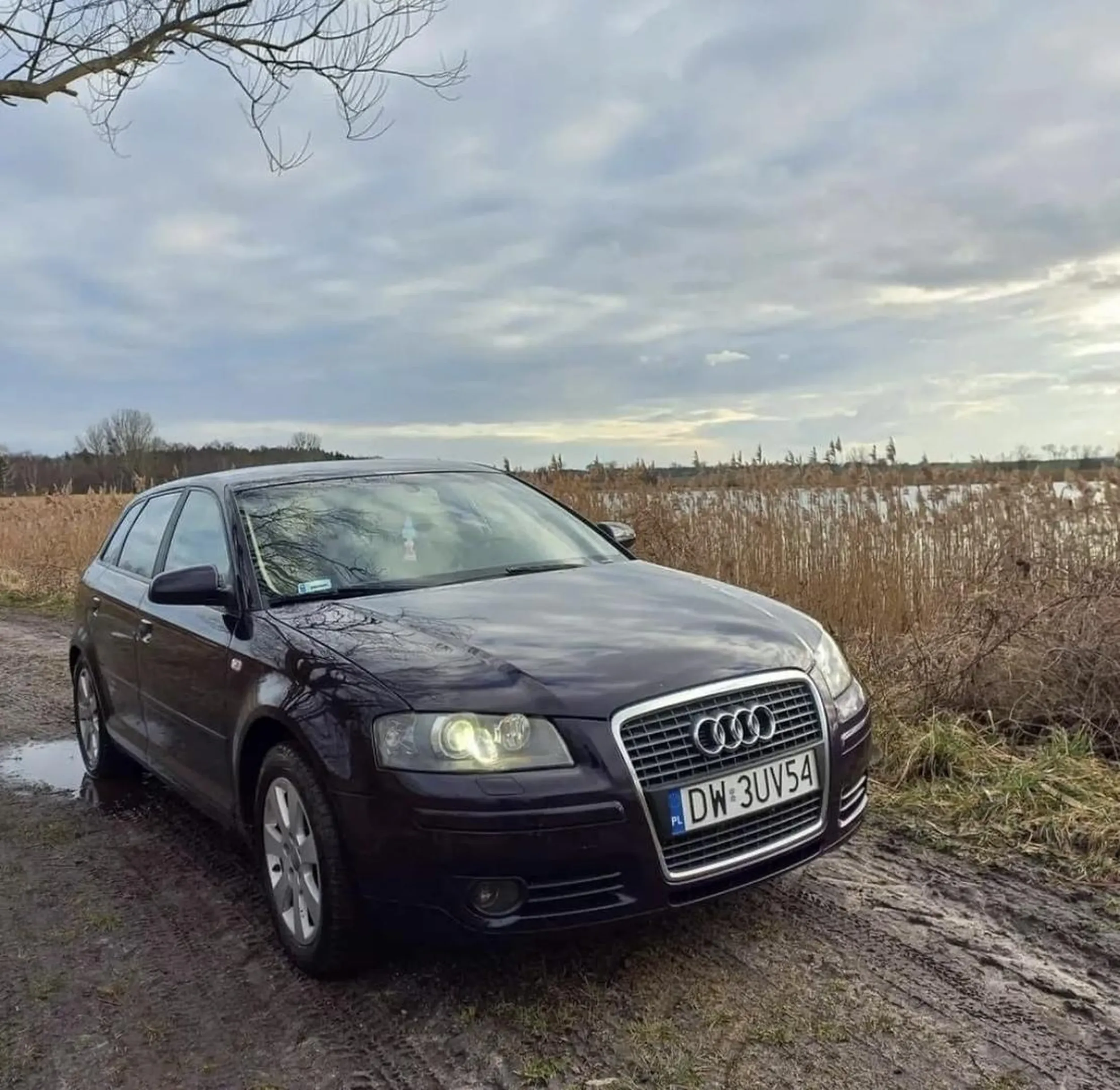 Zaorała mi pole tym wehikułem a potem wyszłą, ściagnęła bluzkę i zaczęła mnie gonić krzycząc, że najpierw mnie uderzy cyckami a później zje.