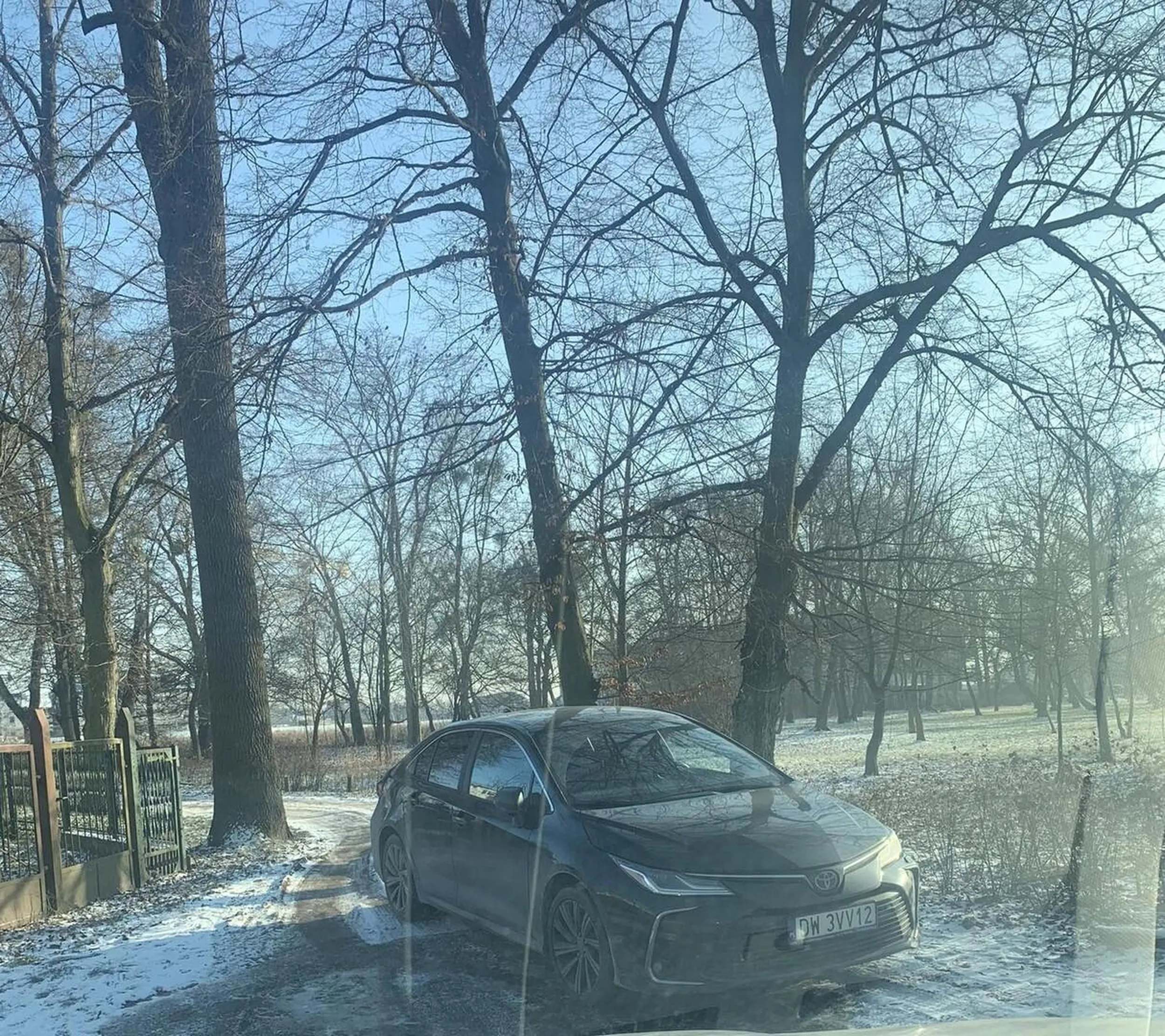 Parkowanie w parku to norma