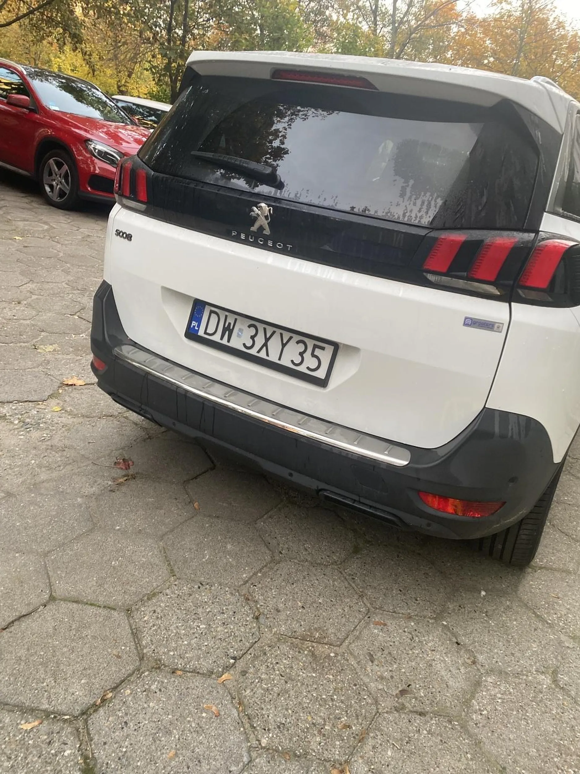 Ślepy, nie widzi znaków zakaz parkowania.