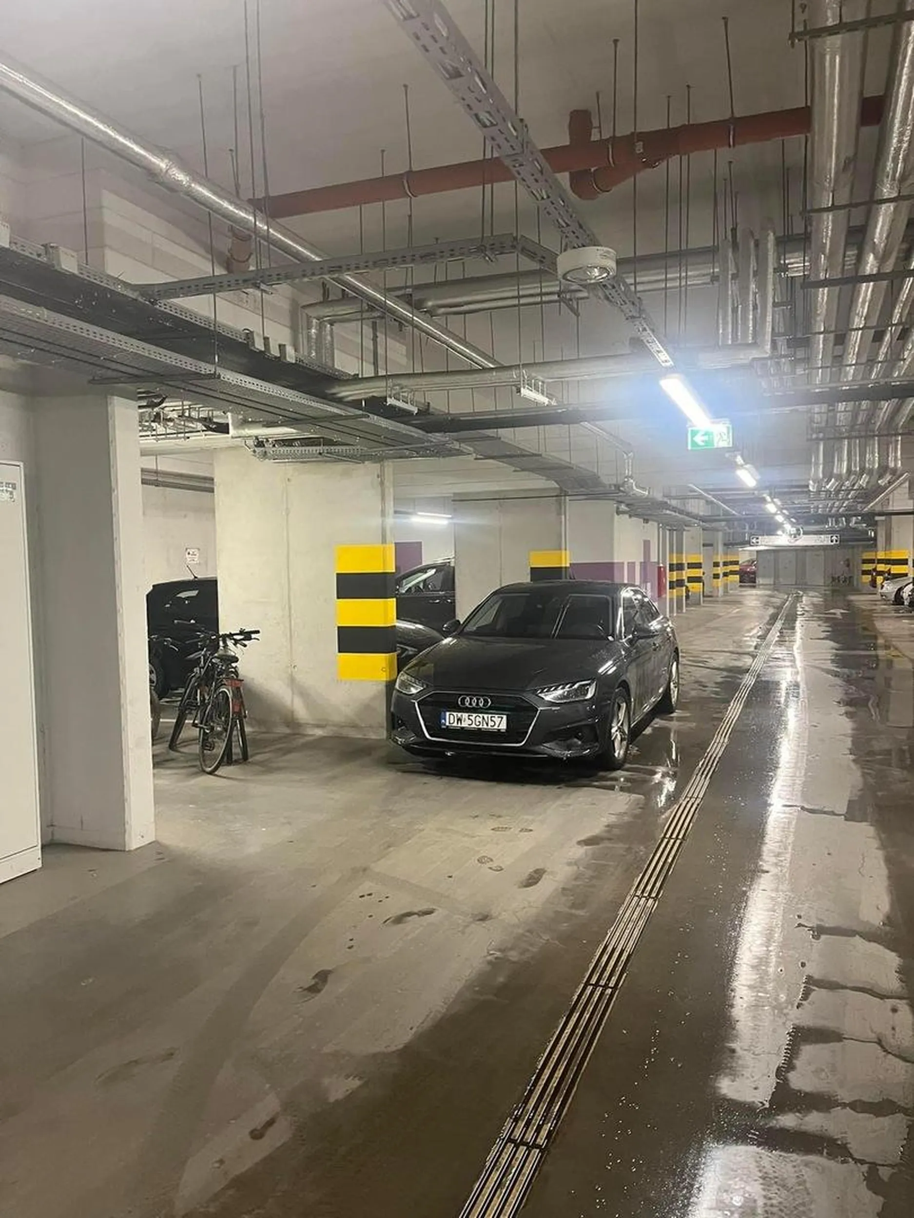 Mistrz parkowania w akcji