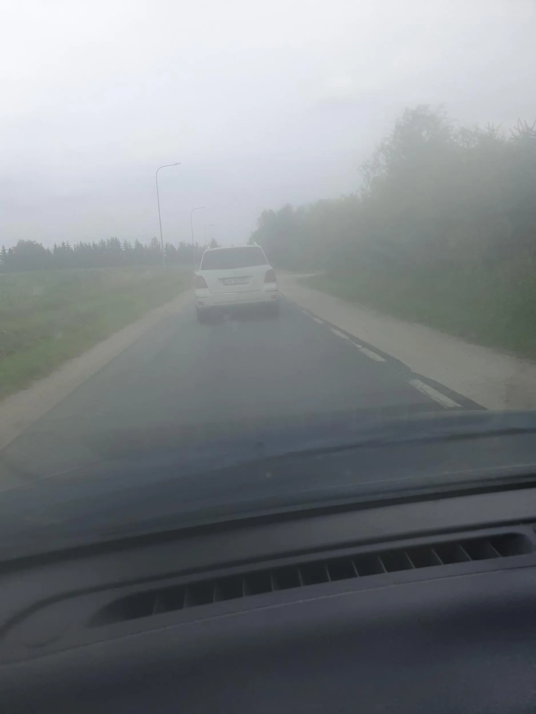 Ta "pani" robila chyba prawo jazdy na Białorusi. Czerwone światło i linia, na której powinna się zatrzymać, żeby wpuścić lewoskret, który świateł nie ma i jedyna możliwość wjazdu (w tych godzinach) jest właśnie wtedy, kiedy pieszy wciśnie przycisk i droga z pierwszeństwem ma czerwone. No ale nie, pani musi podjechać pod same światła, żeby tylko nikogo nie wpuścić. Podjechałam i pomachałam, że powinna stanąć przed linią, to mnie prawie staranowała. Takich ludzi nie powinno się wpuszczać na drogę.