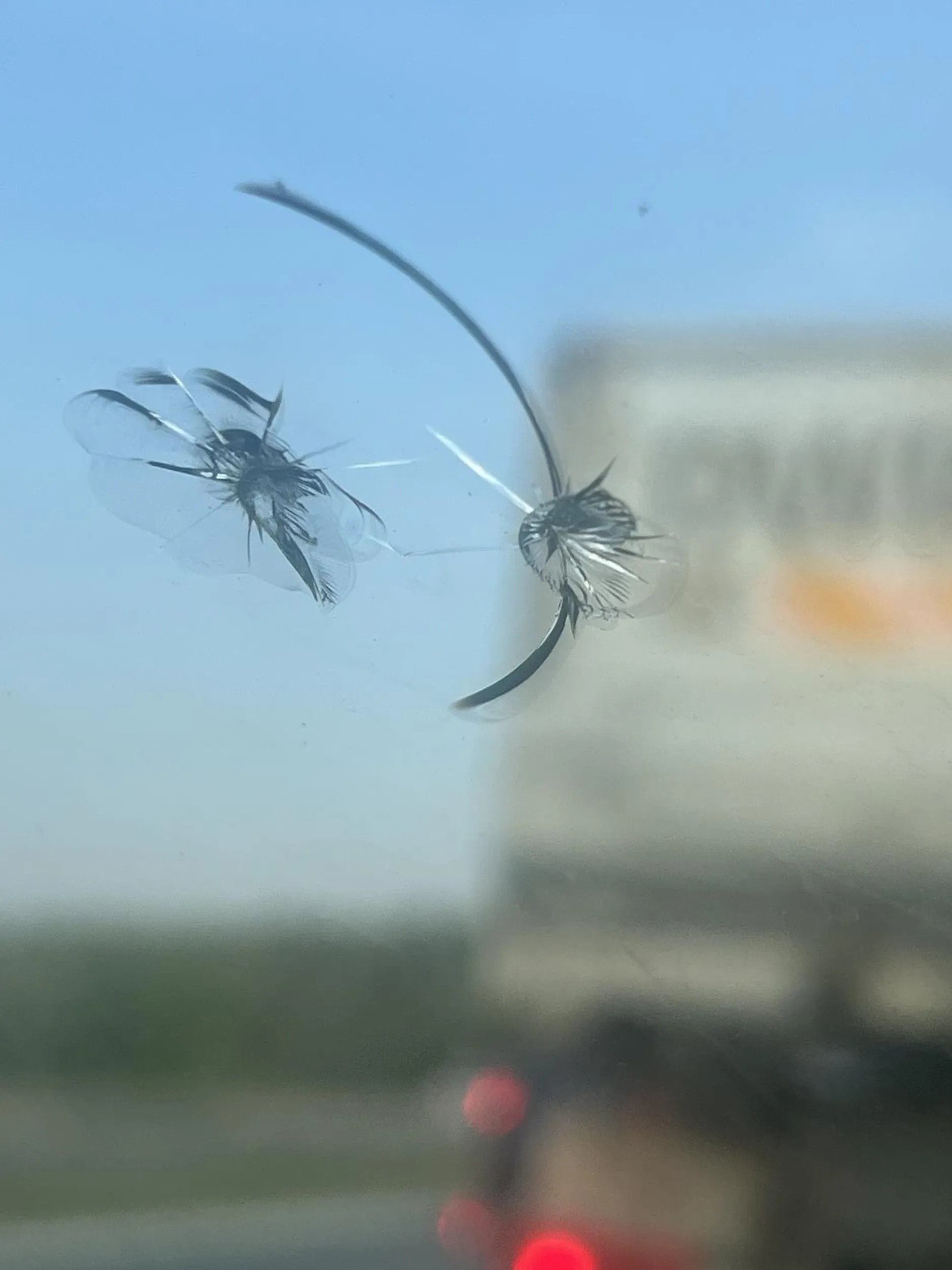 Uwaga bo jeździ z niezabezpieczonym gruzem, spadają z niego kamienie, rozwalił mi szybę i ani on ani firma nie poczuwa się do odpowiedzialności, na szczęście mam nagrania i świadka