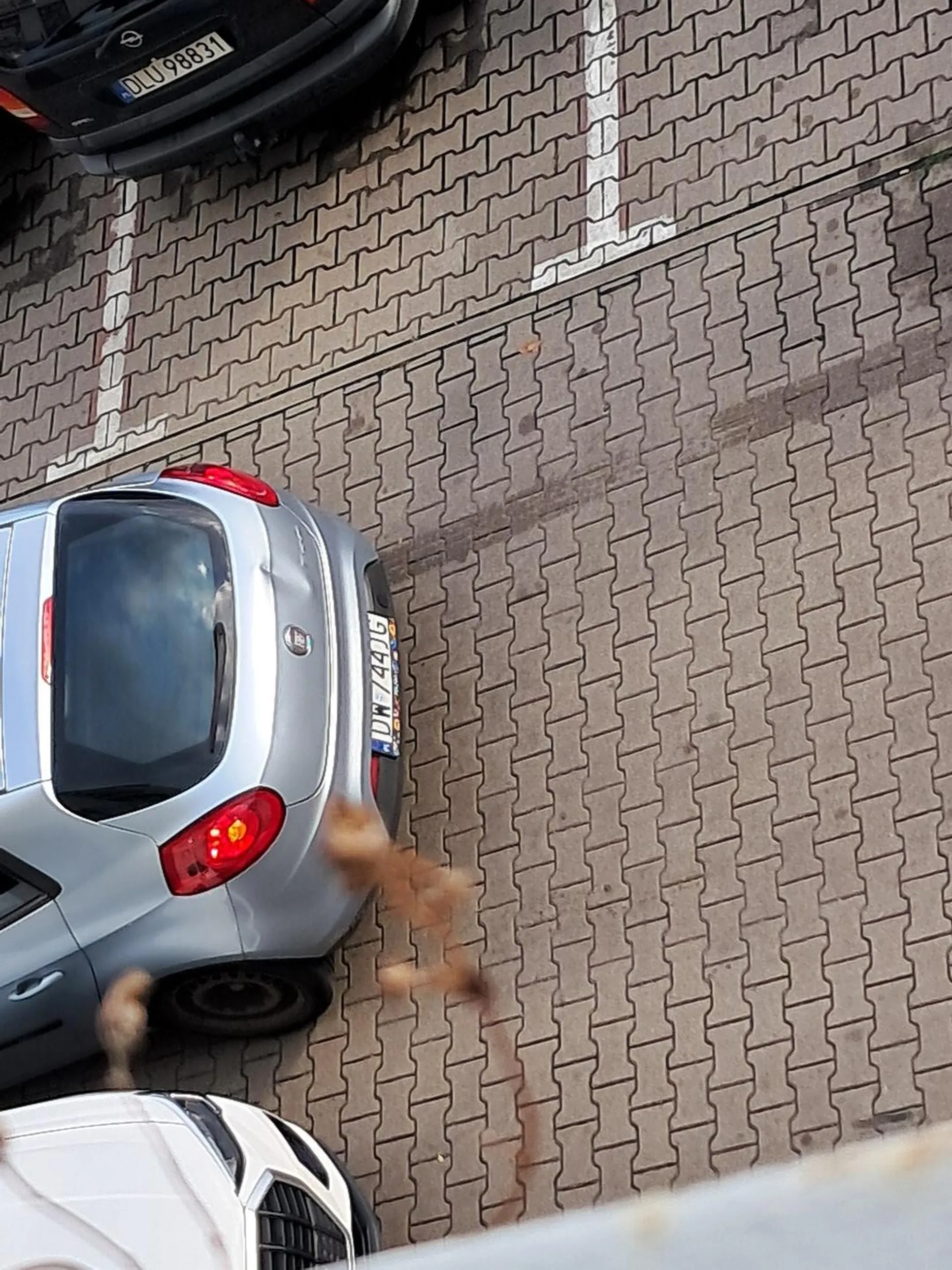 Kierowca nie dość że nie umie jeździć to trąbi i robi hałas pod blokiem na inne poprawnie zaparkowane samochody xd