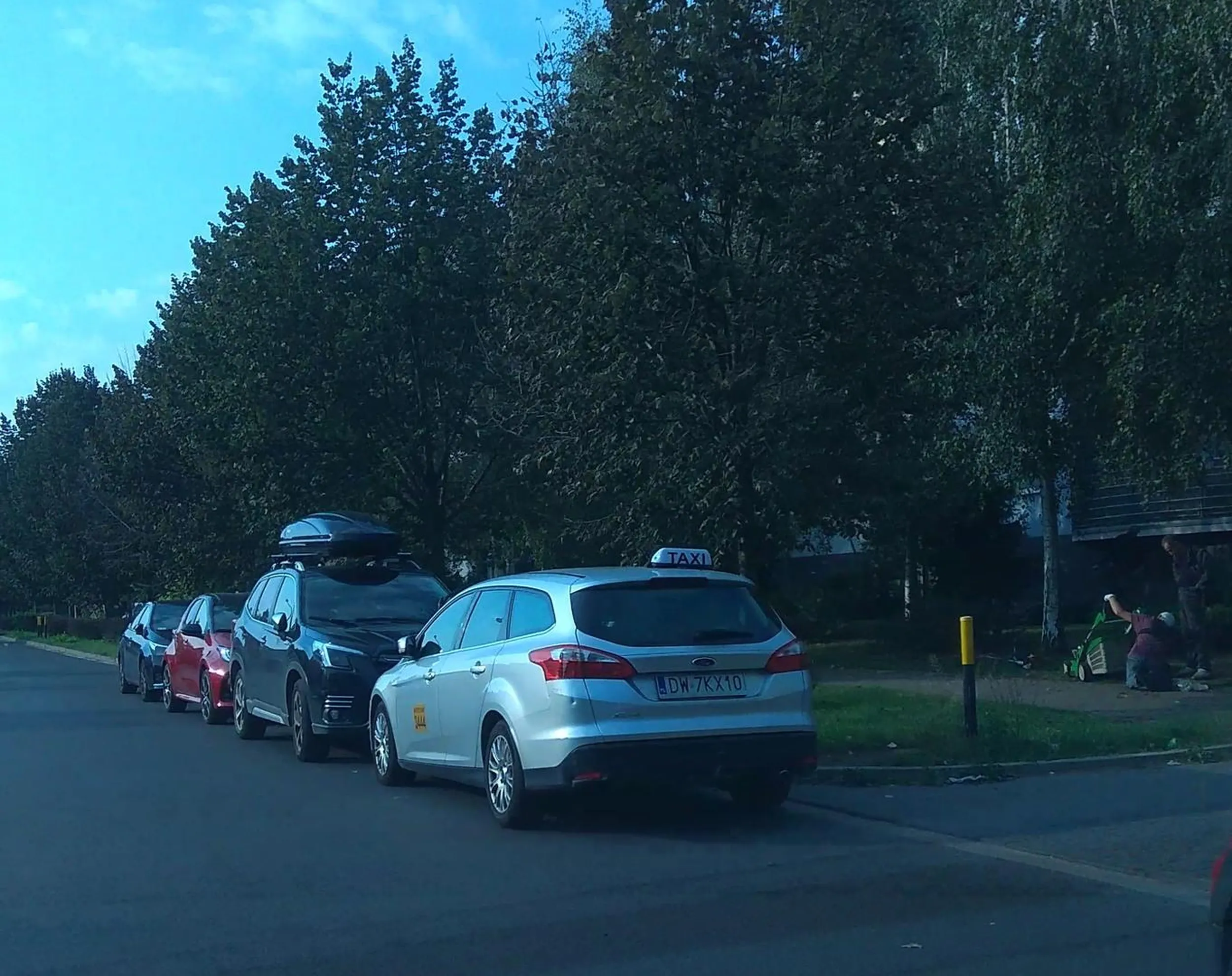 Zawodowy kierowca, a parkuje na zakazie zatrzymywania na Strońskiej