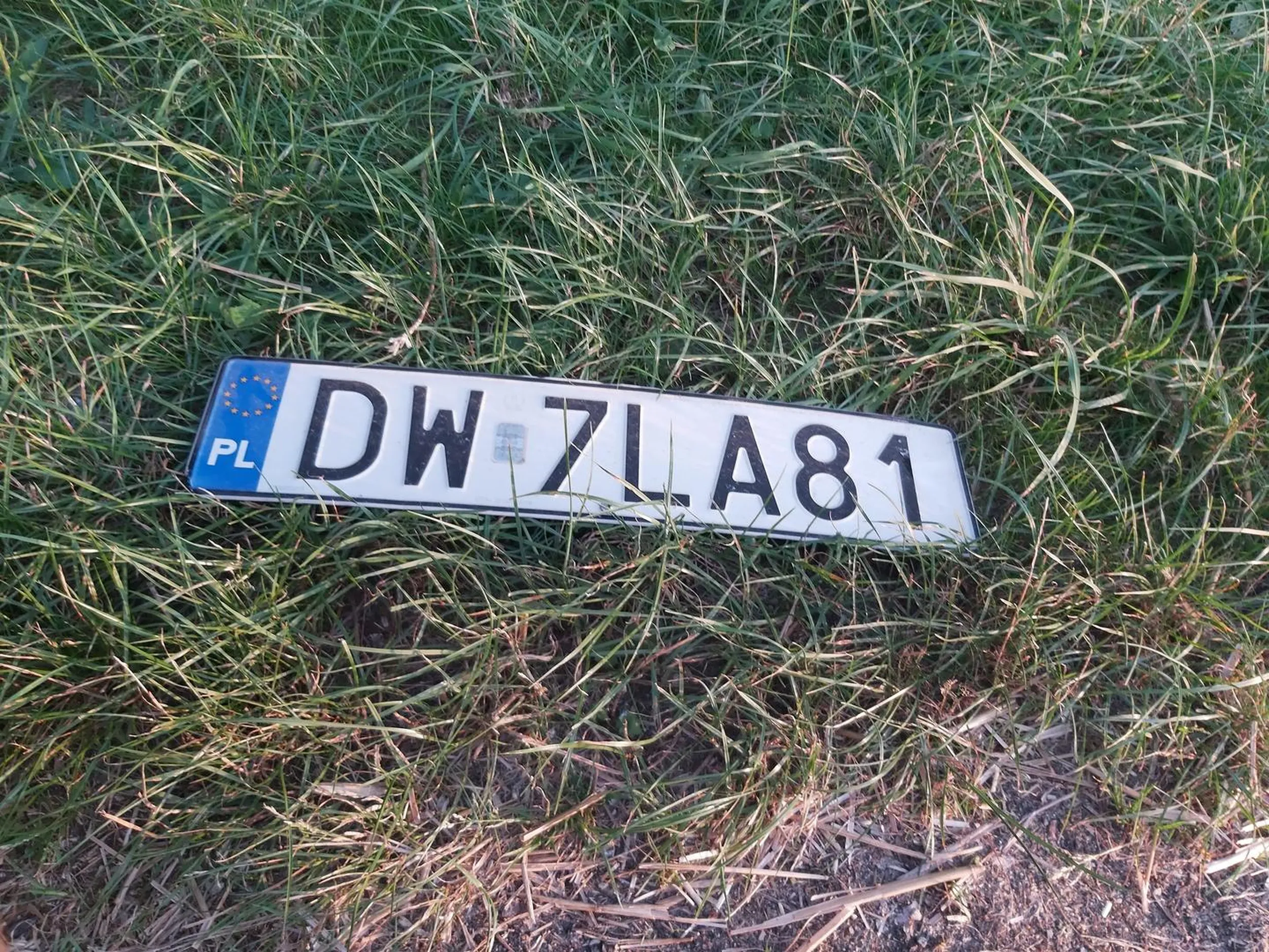 Zostawiles rejestracje na trawie