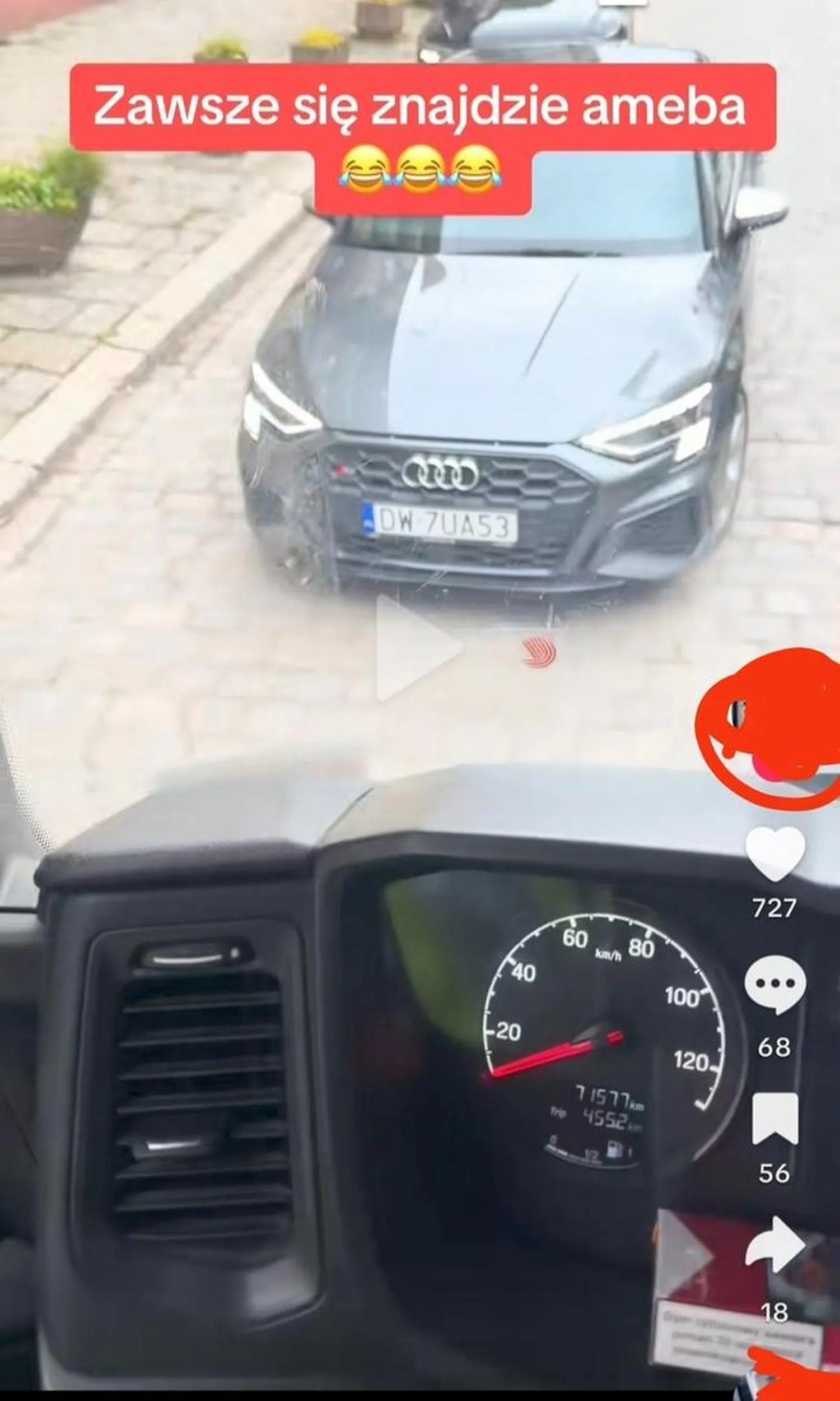 Ścierwo Wrocławskie w Kałdi jedzie raz że środkiem to myśli że nawet ciężarówka zjedzie mu z drogi i ma pretensje do kierowcy wyskakując z łapami.