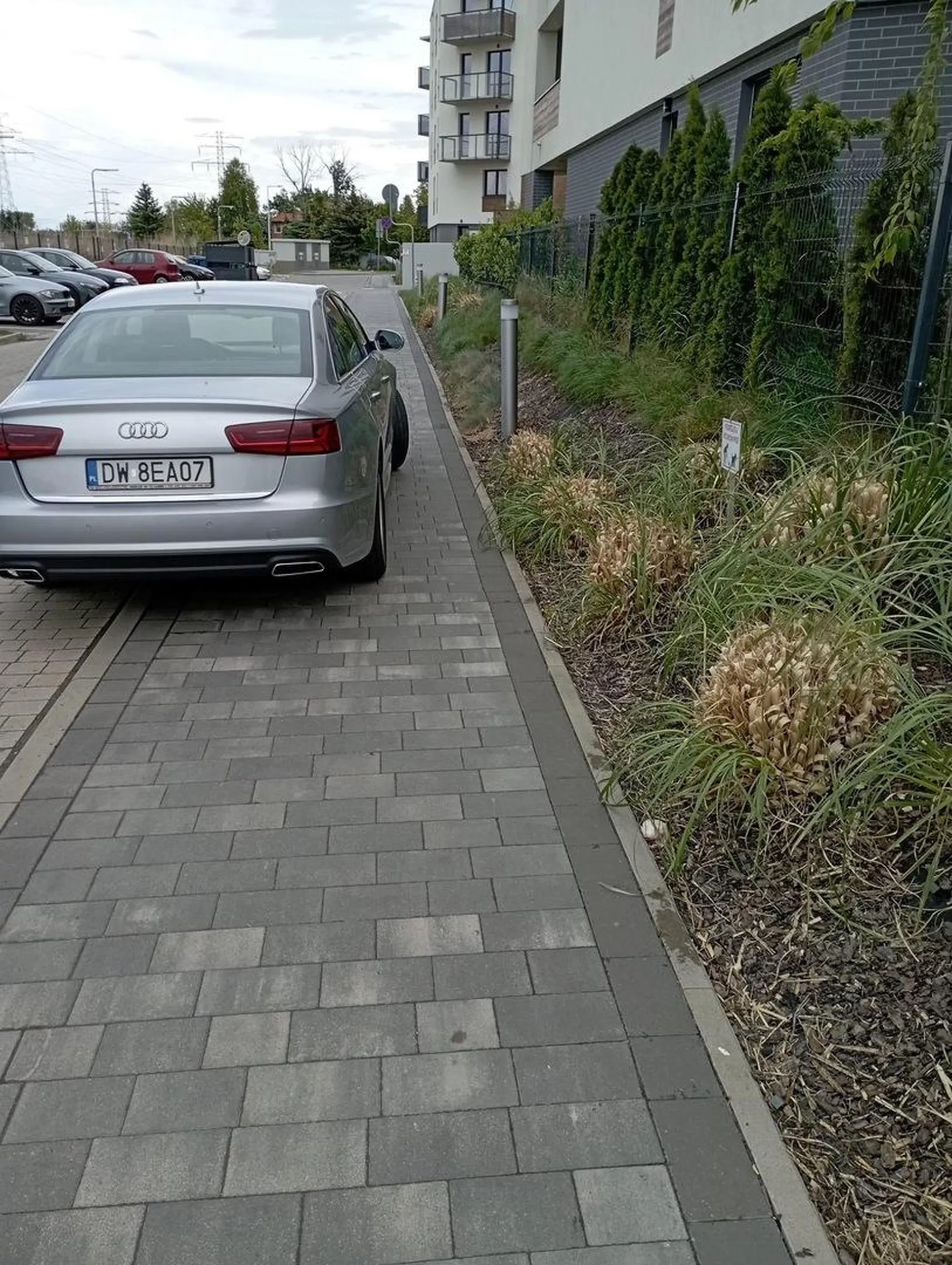 Nie dość że na zakazie to jeszcze jak pipa ….