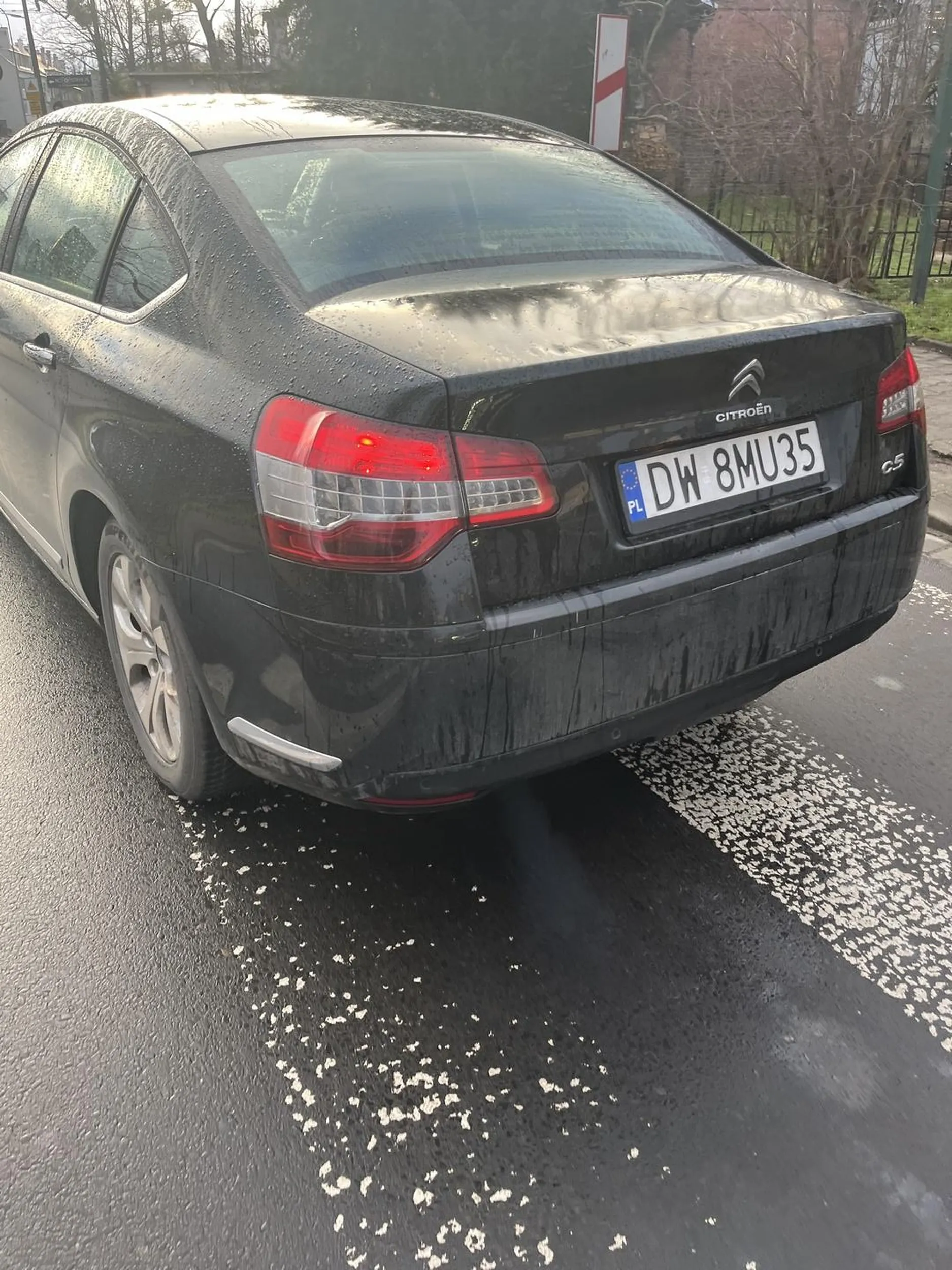 Nie pozdrawiam Pana z Citroena. Myśli że ulica to kręgielnia, a ludzie na przejściu to kręgle. Wychodzi z założenia, że co nie się nie udało strącić za pomocą samochodu to Wysiada z niego i próbuje ręcznie.