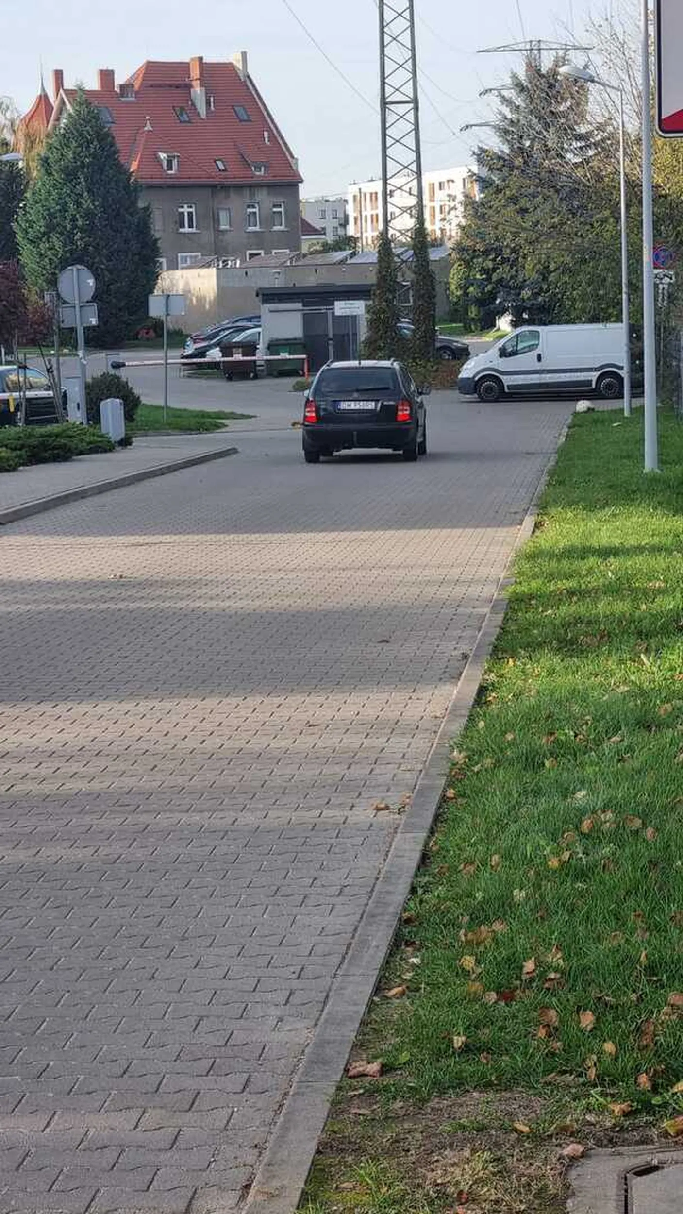 Polecam pani udać się ponownie do okulisty i zmienić swoje okulary, może tym razem zauważy pani, że ktoś przechodzi przez pasy i nie będzie próbowała go rozjechać. Wzrok teskiący za myśleniem dodawał dramaturgii, pieszym radzę uważać