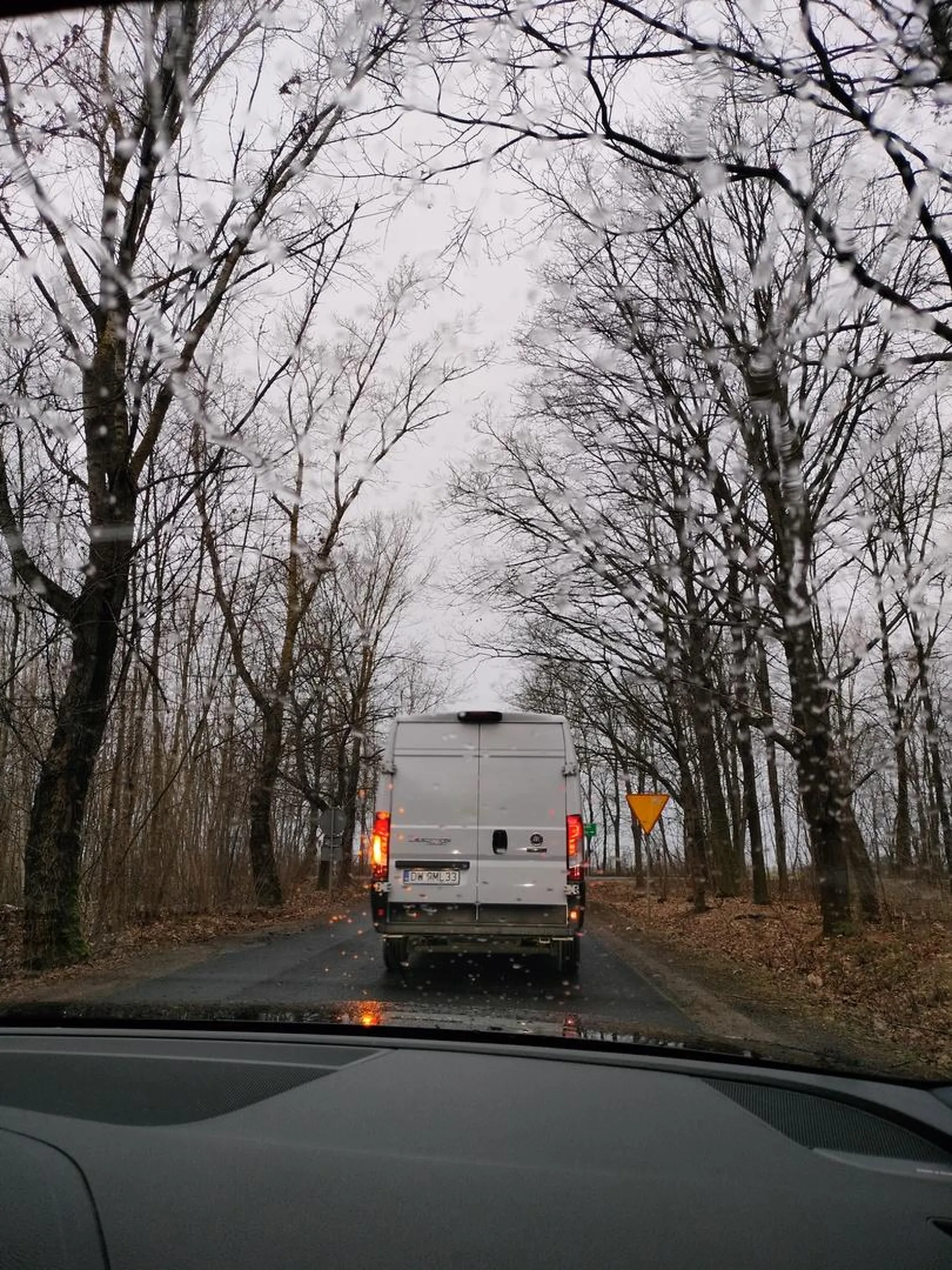 Wyrzuca butelki po piwie do lasu