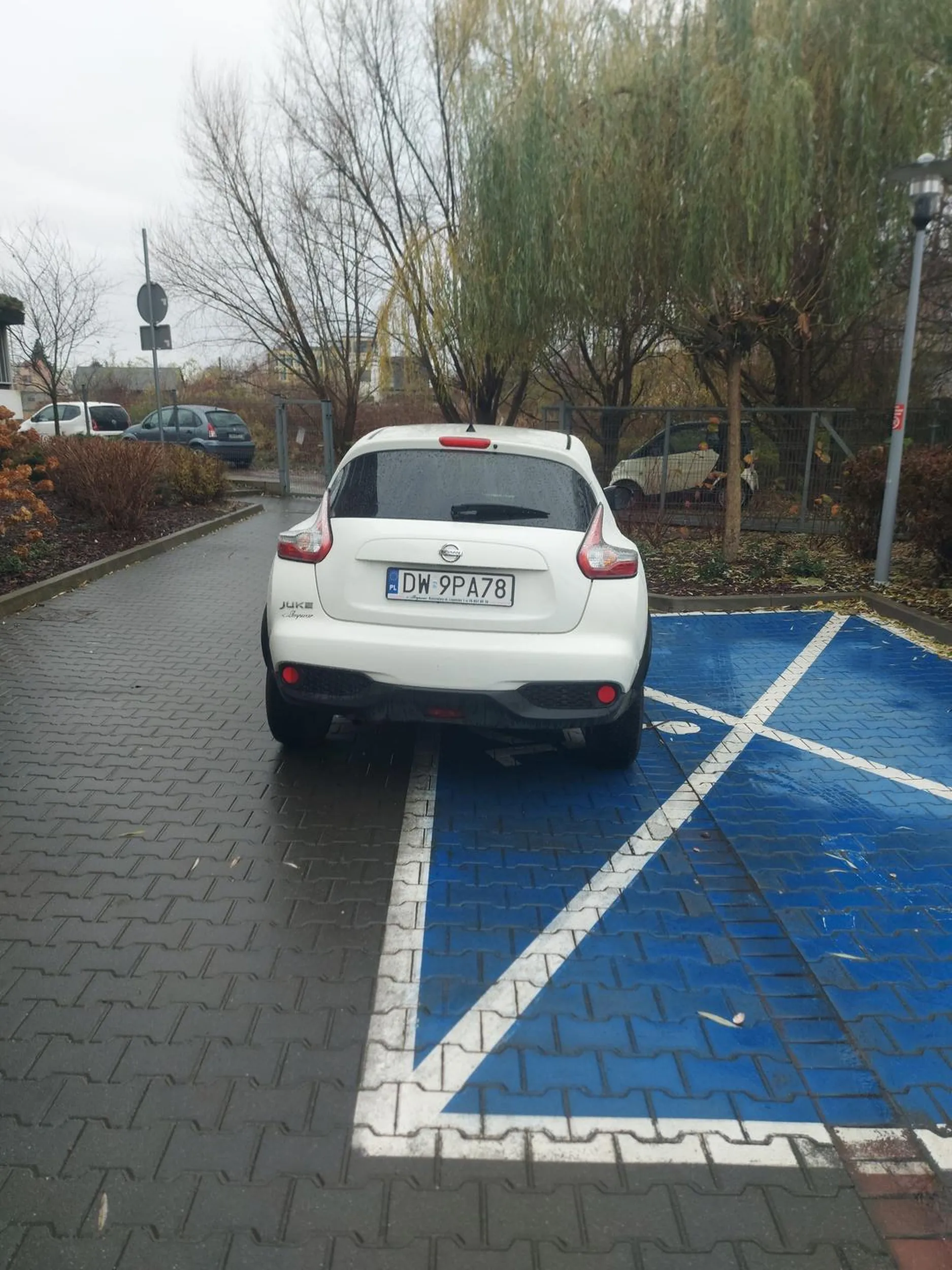 Niepełnosprawny umysłowo