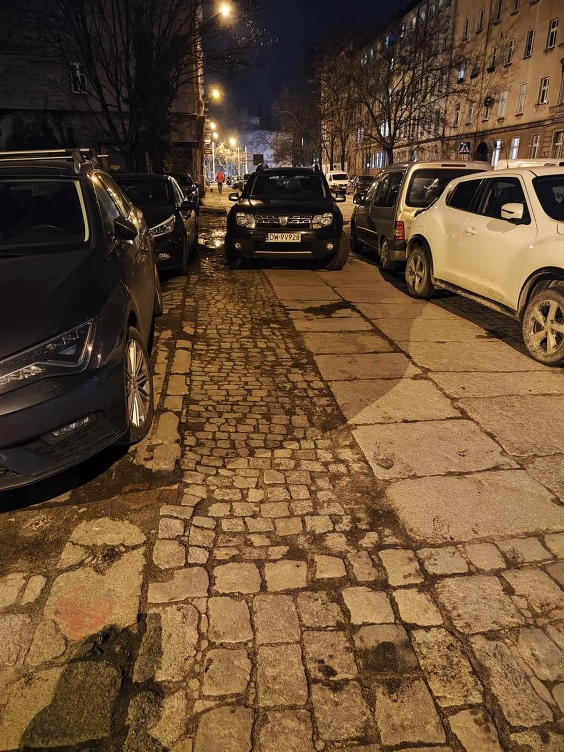 Bardziej na chodniku się nie dało ?