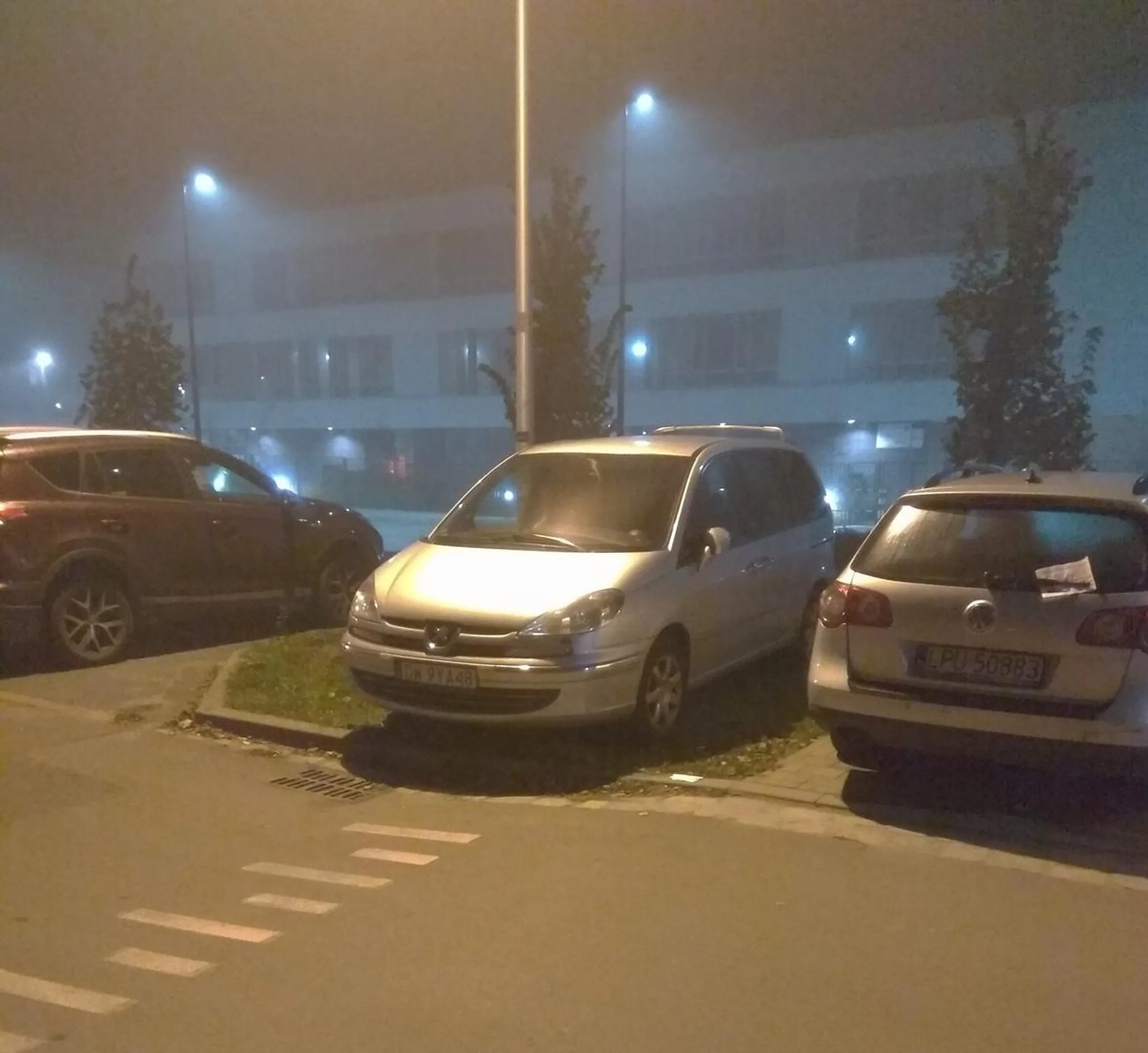 Gdybyś kolego nie zauważył, to zaparkowałeś na trawniku.