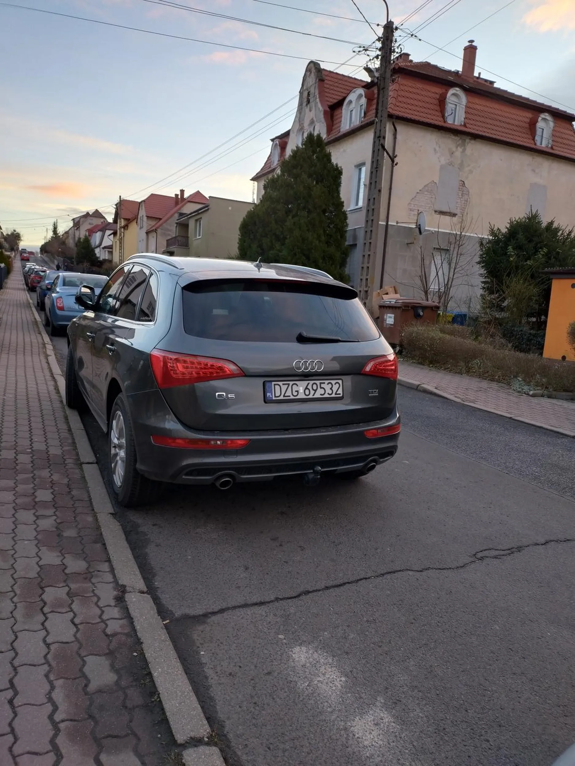 Ameba... Stał dość długo i zablokował wyjazd z posesji.