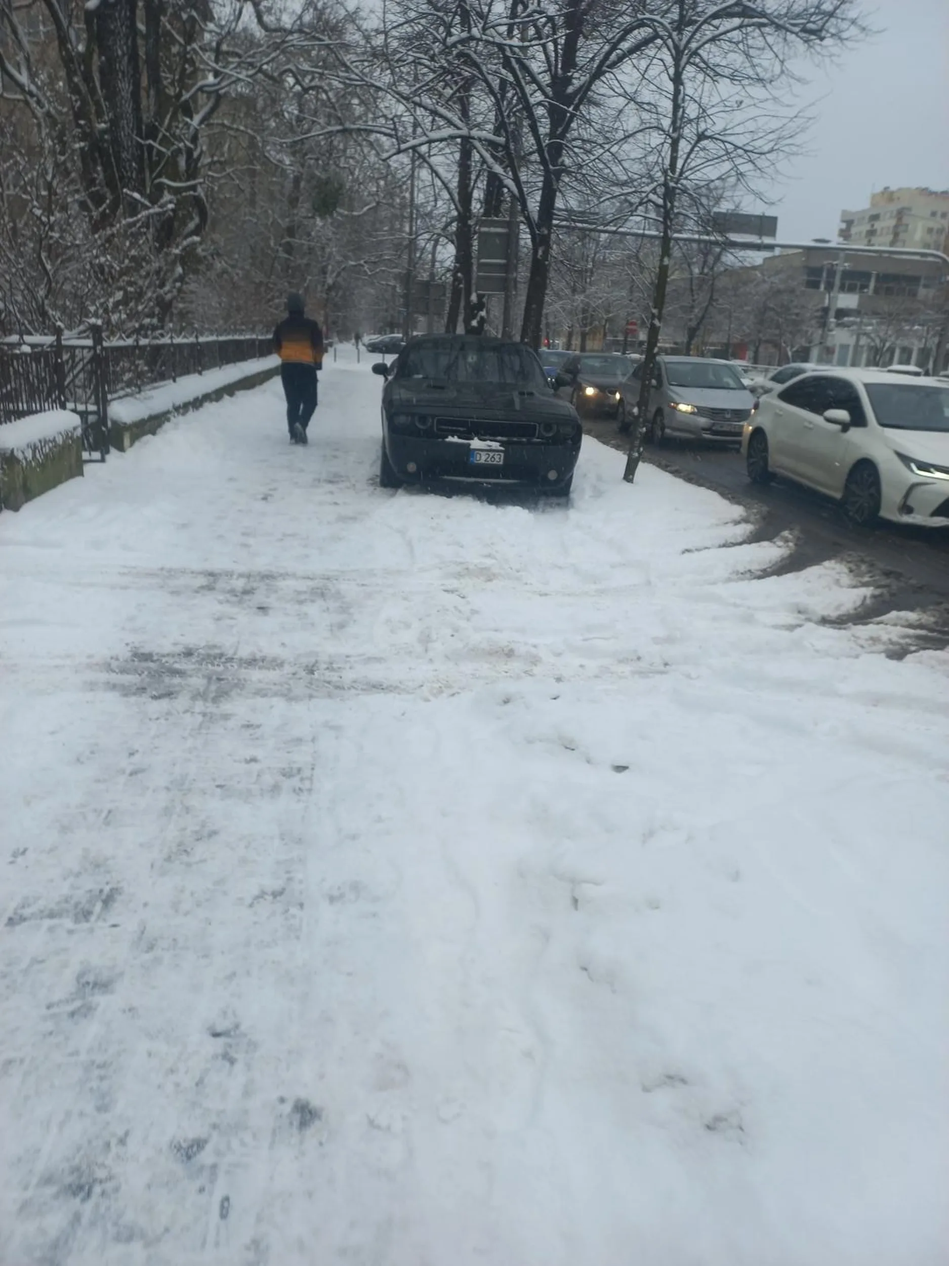 Parkowanie i jeżdżenie po chodniku, bo jak śnieg przykrył to się przecież nie liczy.