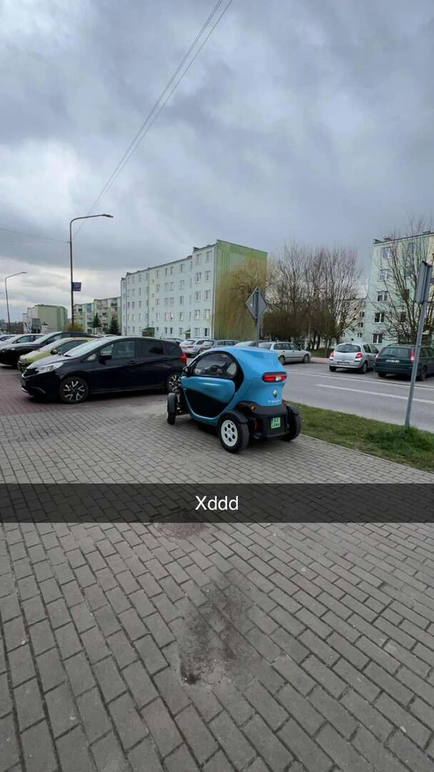 Mistrzyni parkowania