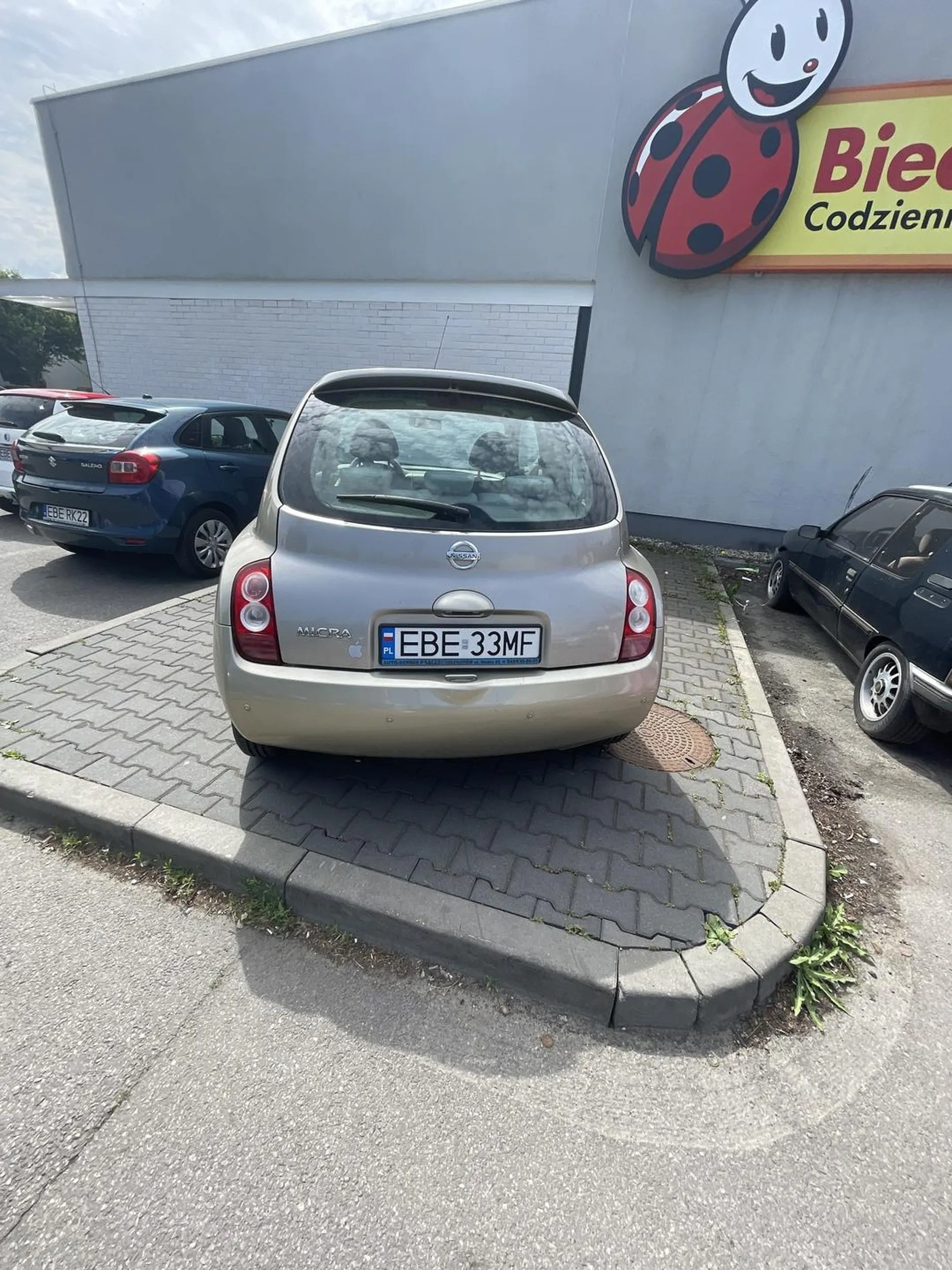 Mistrz parkowania, nic dodać nic ująć