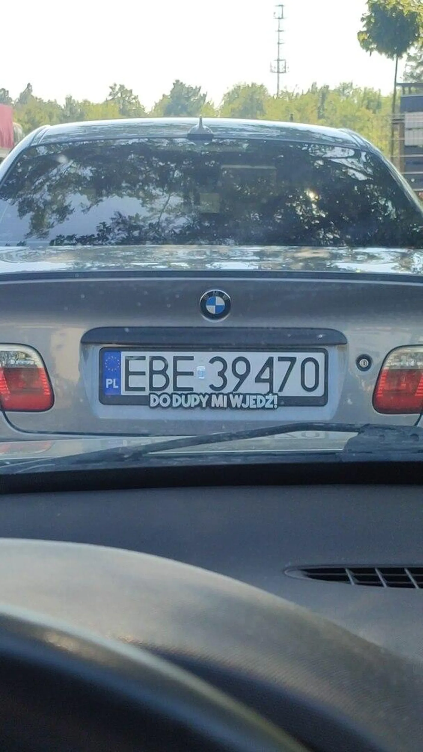 Wjadę jak Reksio w szynkę