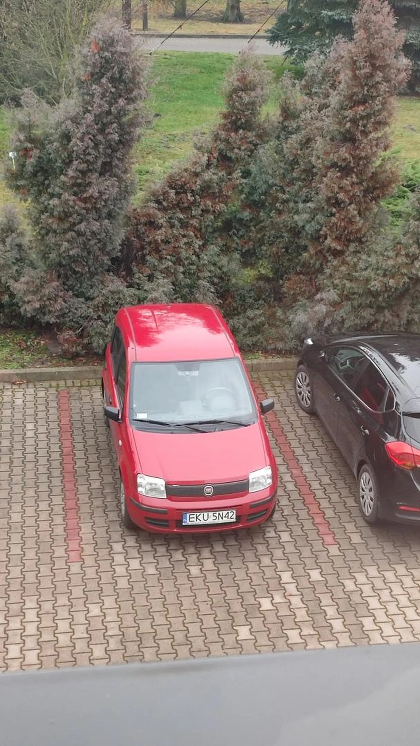 Pojedź tym na pełny serwis bo ten fiat ledwo zipie, a kołami patrzy w 2 strony świata, już nie mówiąc o umiejętnościach kierowcy