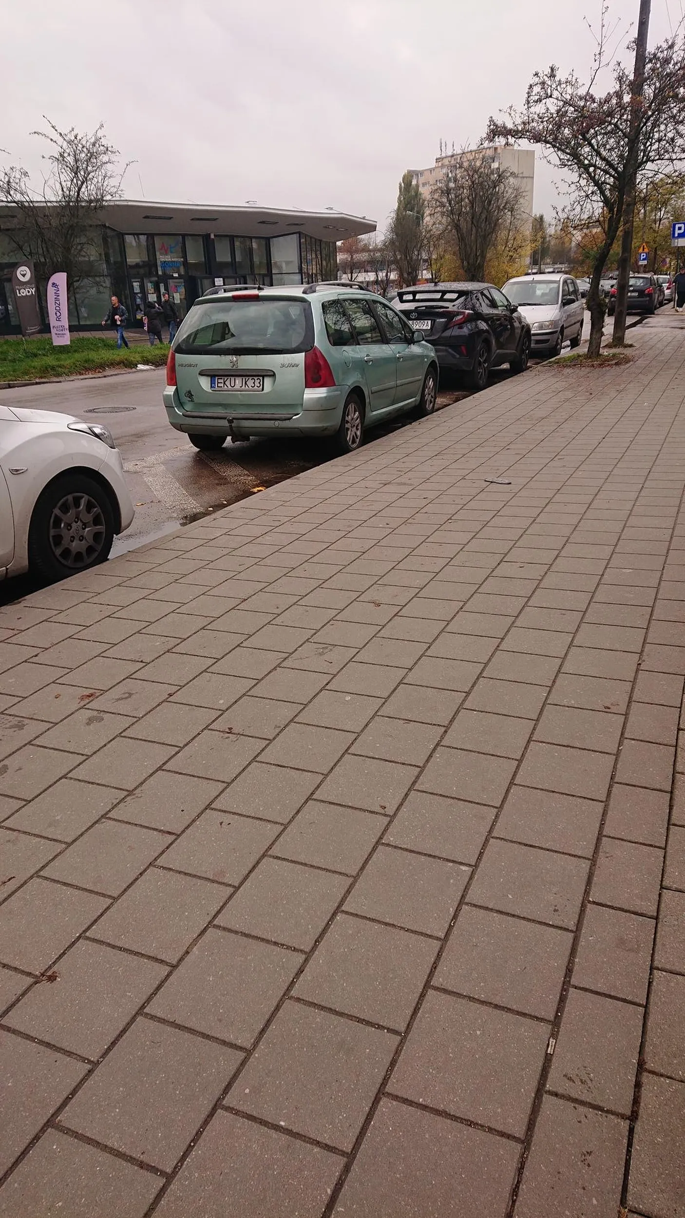 Baran który nie wie do czego służy strefa wyłączona z ruchu