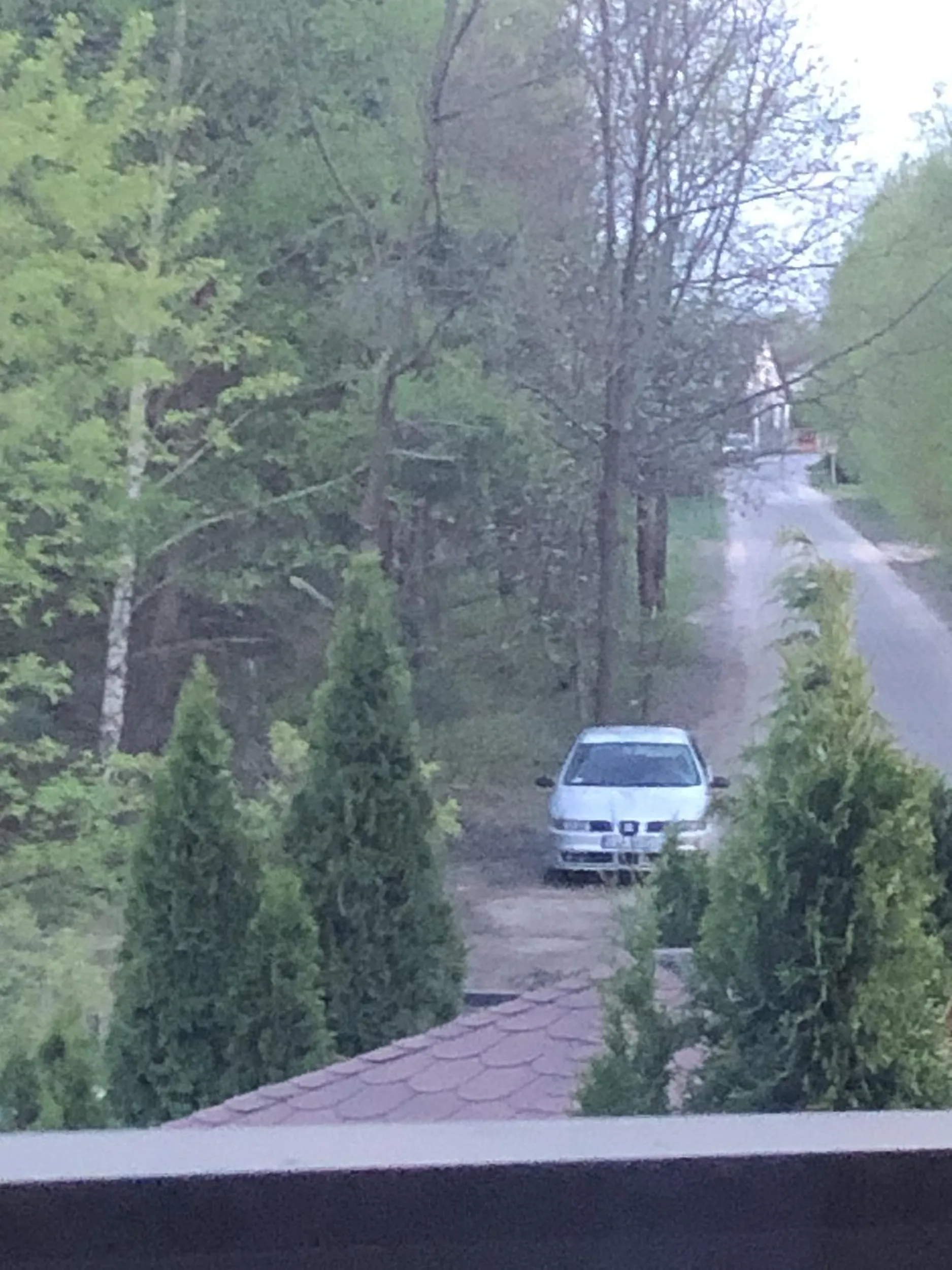 Stoi od kilu dni w tym samym miejscu i obserwuje