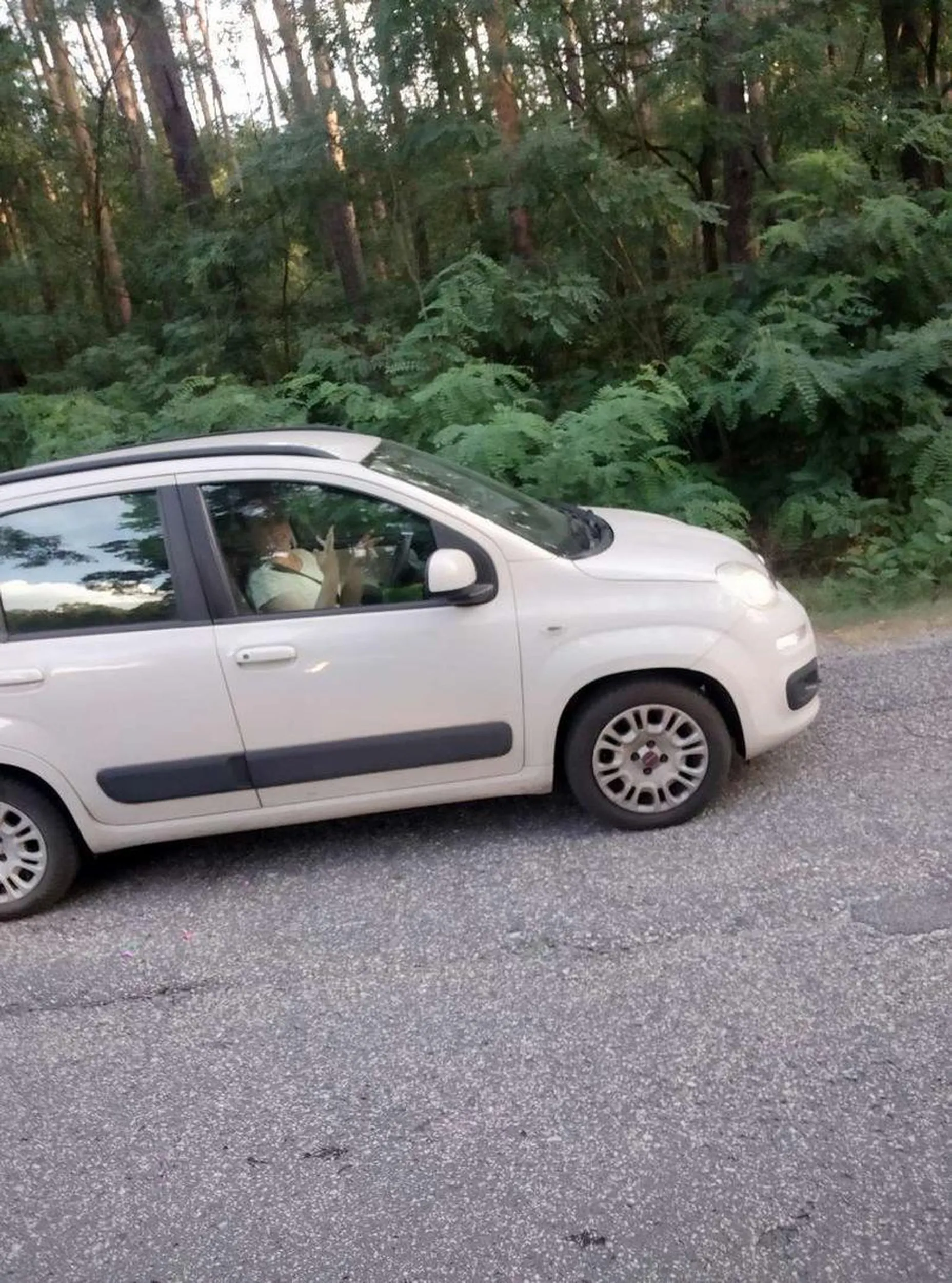 Uważać na tą Panią, prawdopodobnie zażywa psychotropy