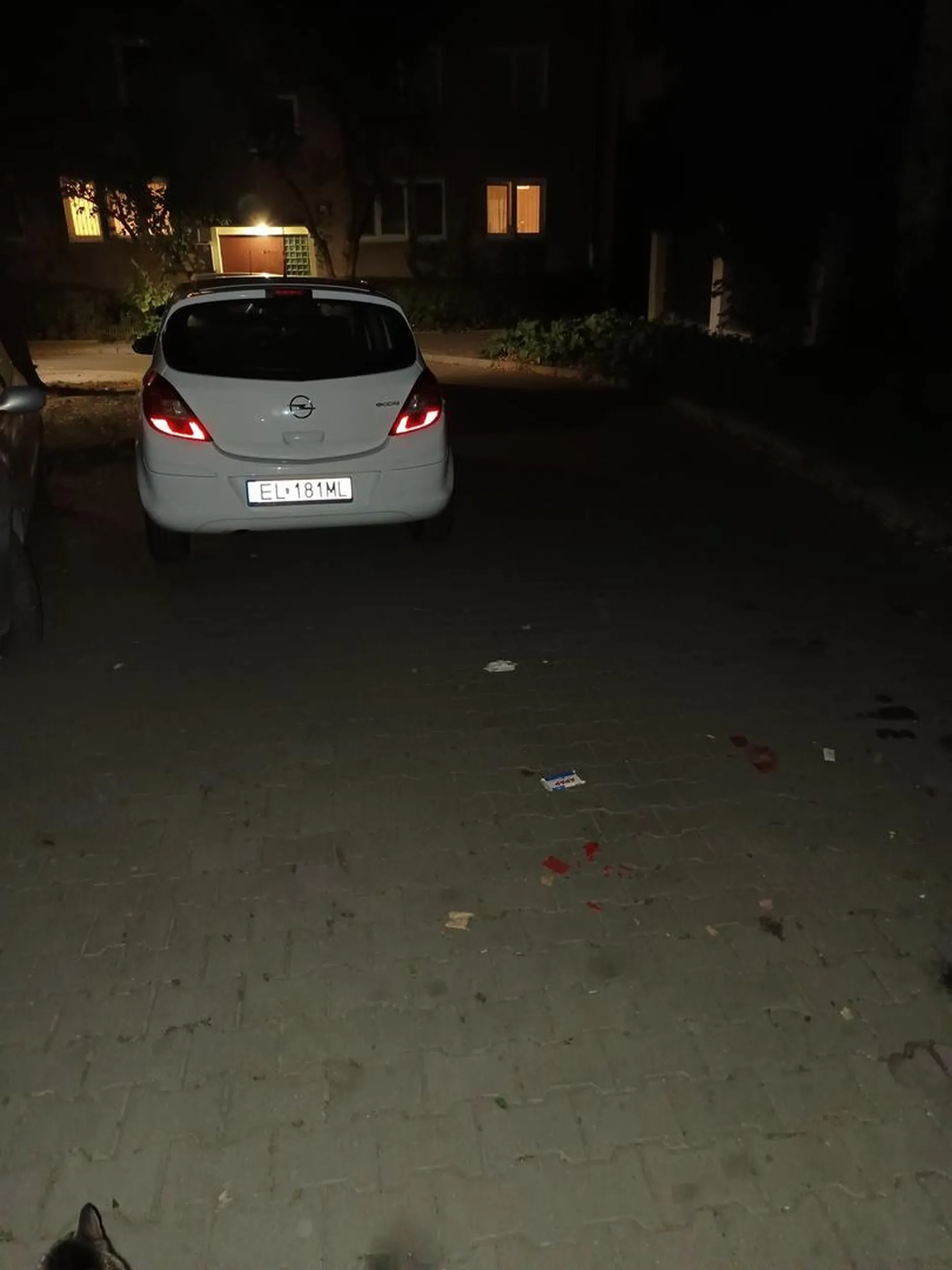 ciekawe jak śmieciarka przejedzie do smietnika obok albo jakiś samochód