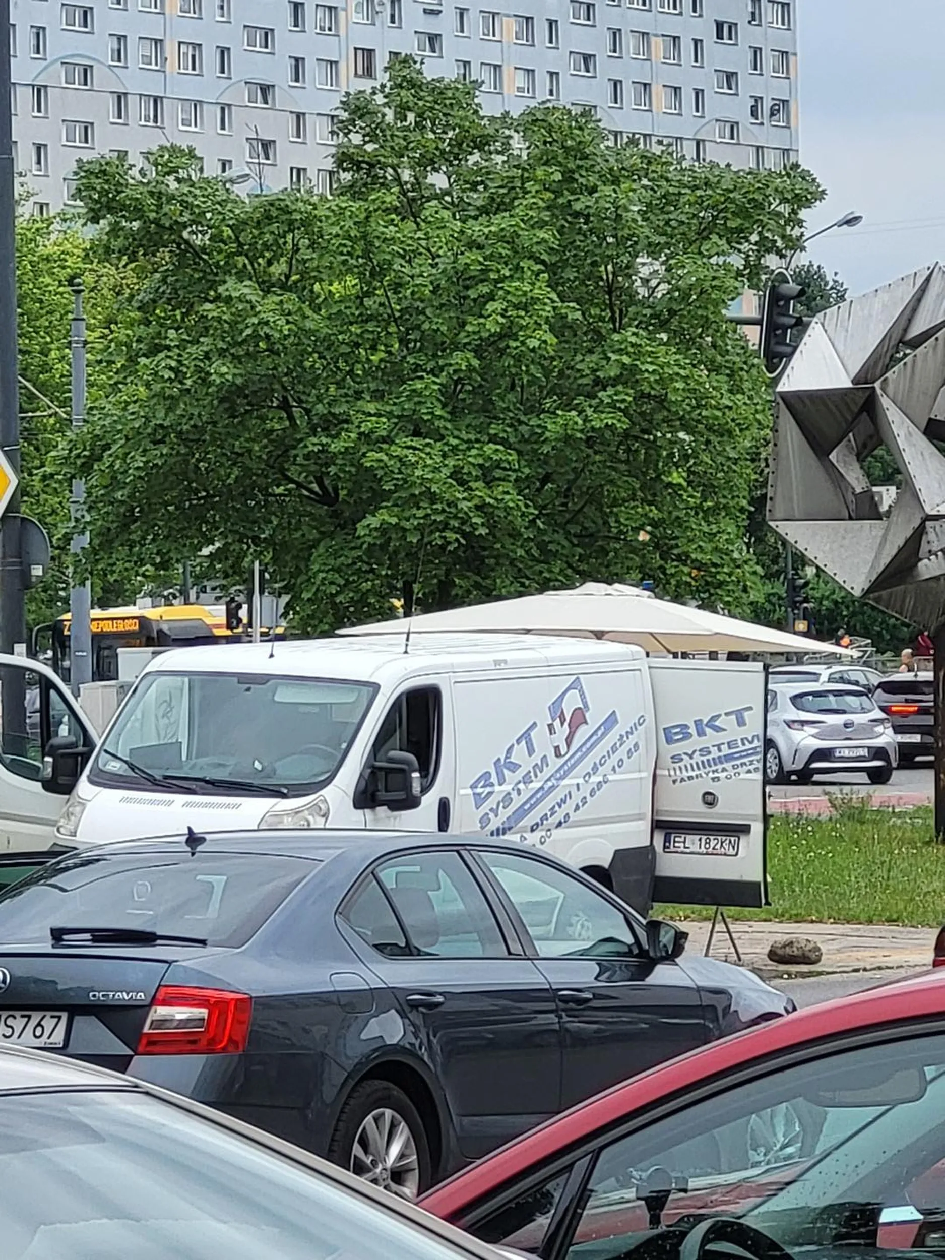 Auto zaparkowane na trawniku i bezpośrednio przed przejściem dla pieszych. Jeszcze drzwi baran po otwierał na oścież...