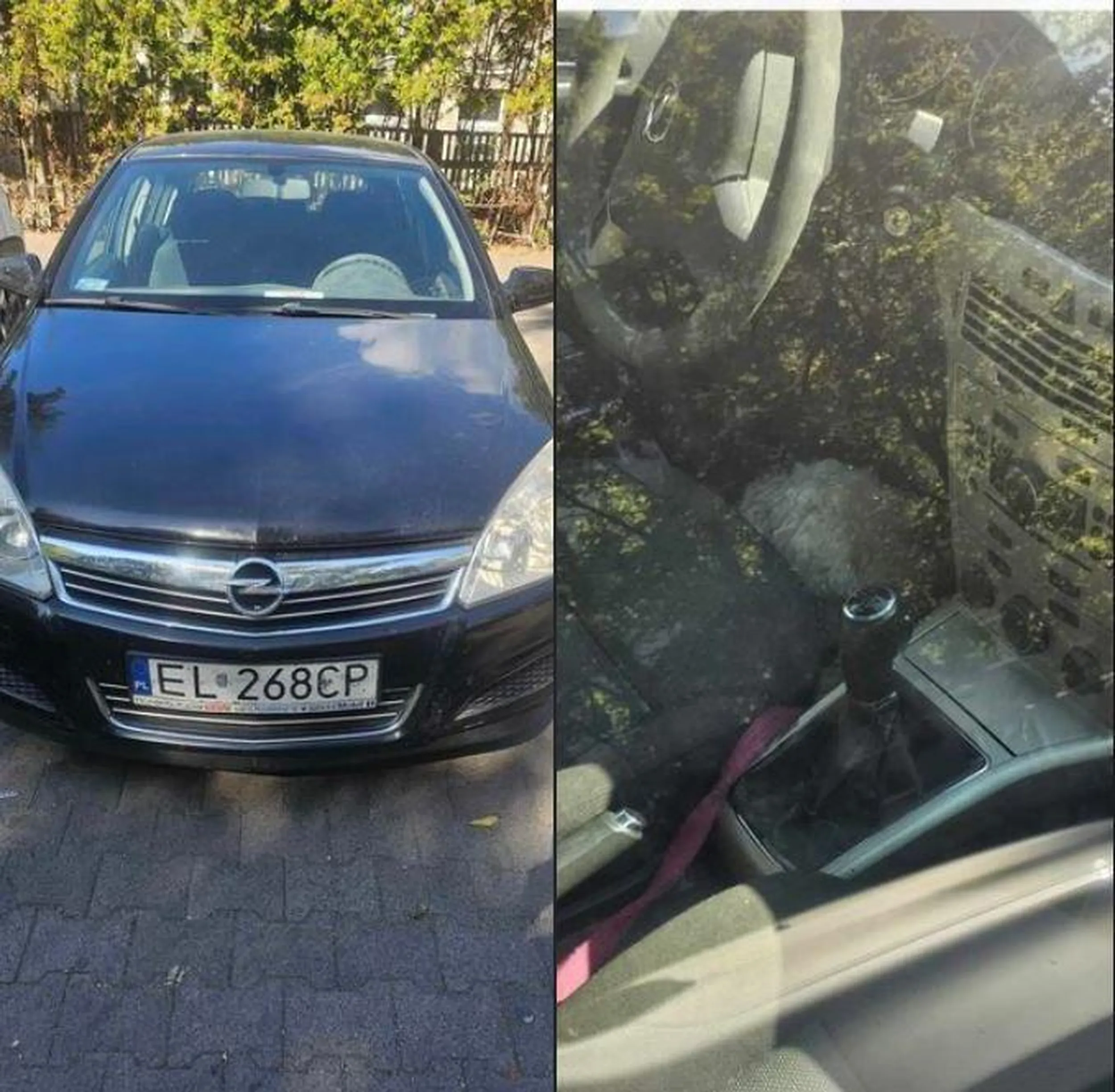 Staruchy w upał pod biedronką zostawiły psa w samochodzie. Jest widoczny na zdjęciach pod kierownicą