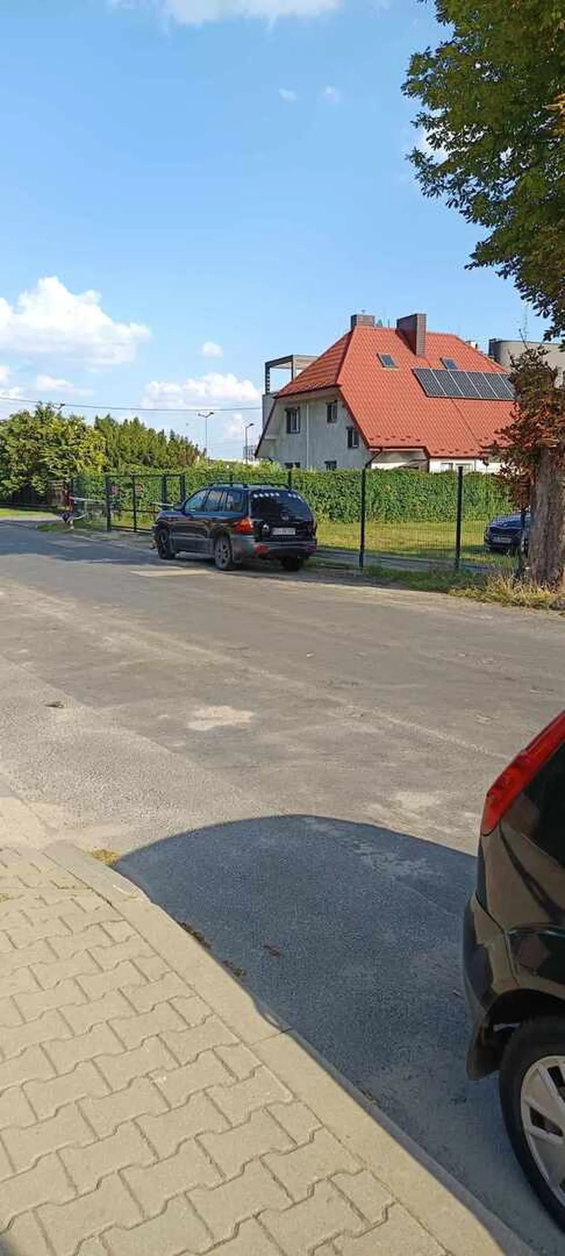 straszna patologia, brak kultury