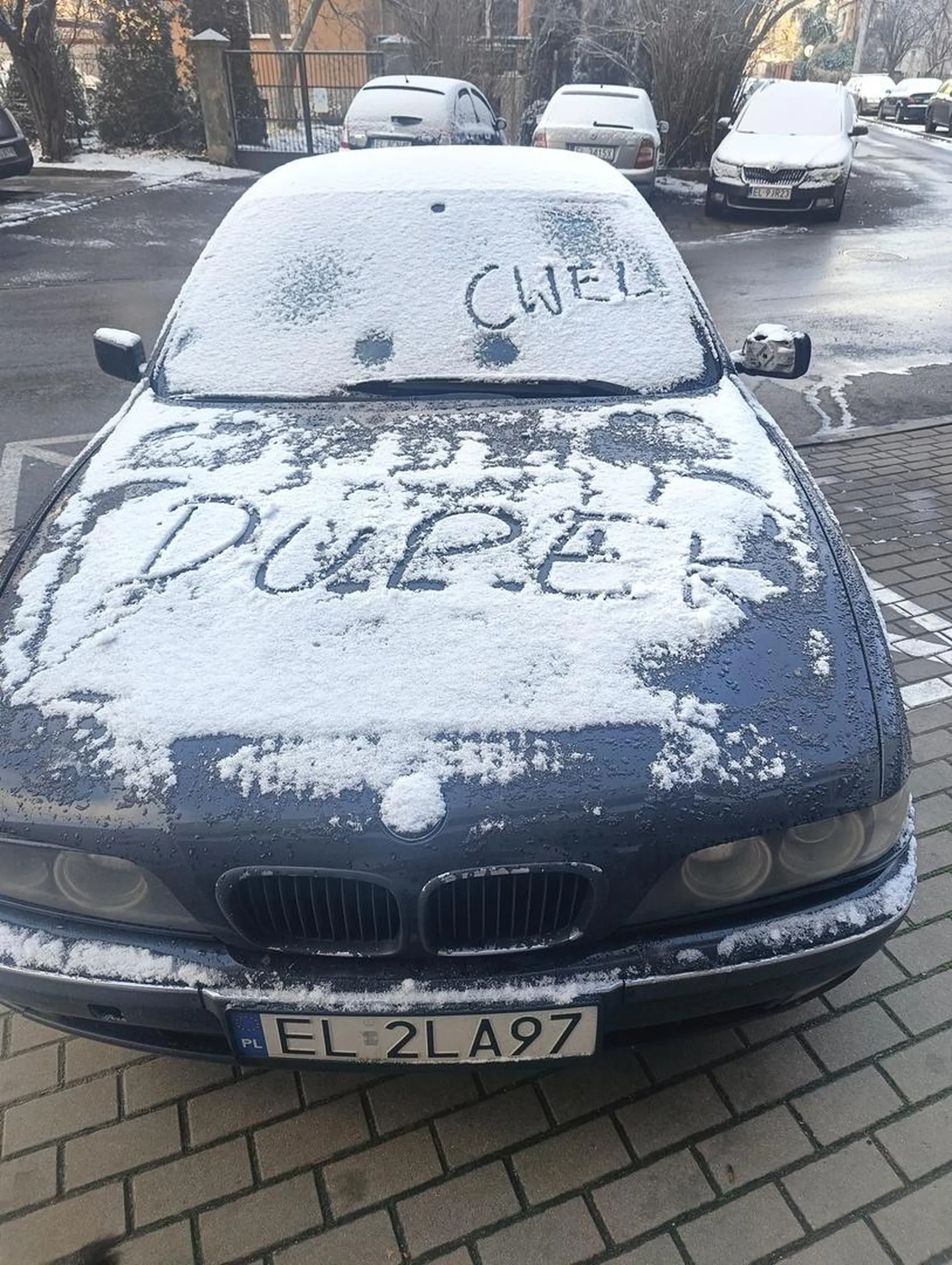 ... Bo nikt nie będzie mi mówił jak parkować... ?