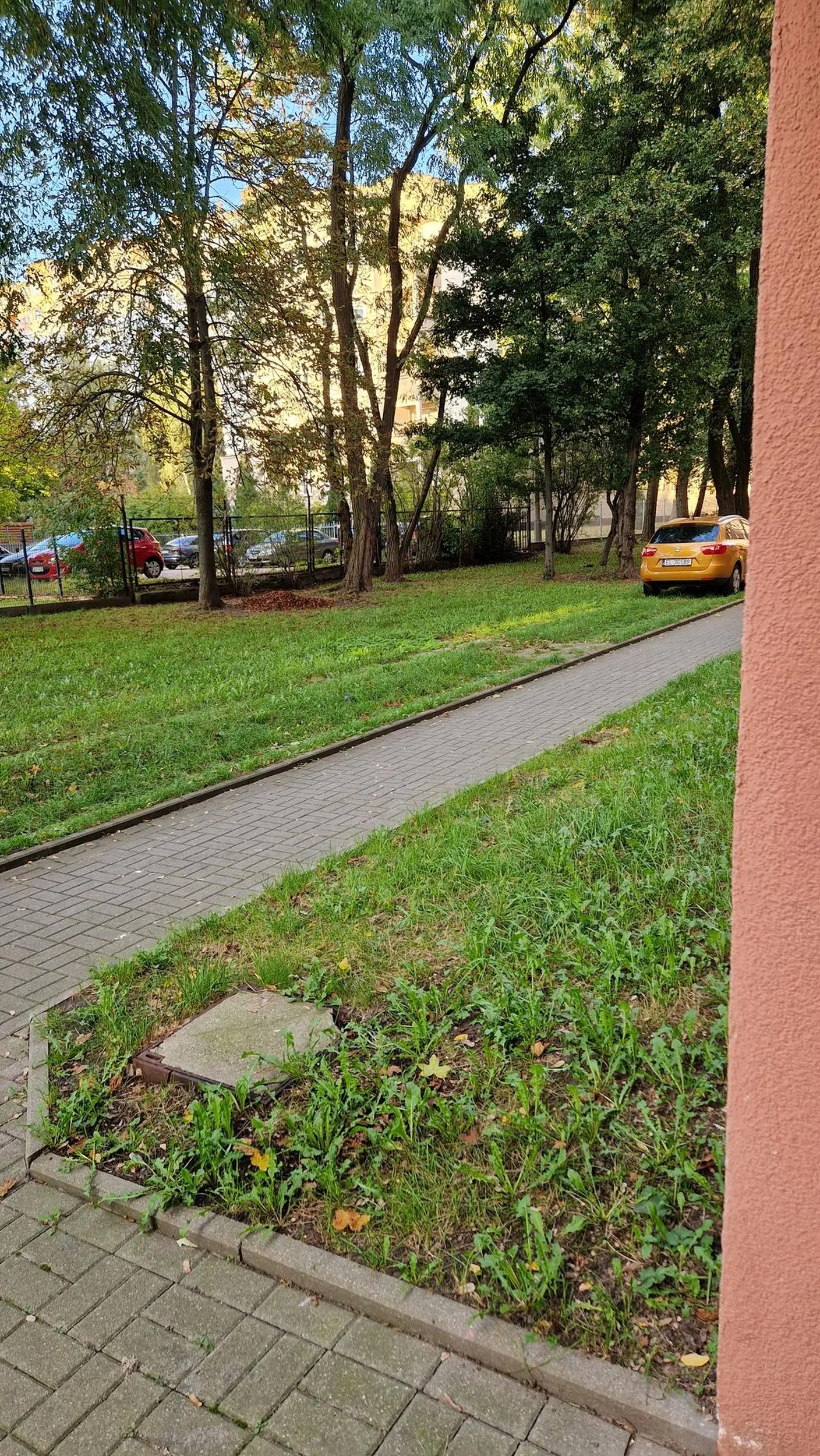 Rozjechał trawnik i przejechał po chodniku żeby zaparkować w tym miejscu samochód. Dodatkowo pańcio trąbił na ludzi którzy normalnie szli tym chodnikiem. Nie przenosił nic, nikogo nie podrzucał. Miejsca parkingowe były dosłownie kilkadziesiąt metrów dalej. Przyjeżdżał koło nich zanim wjechał na chodnik...