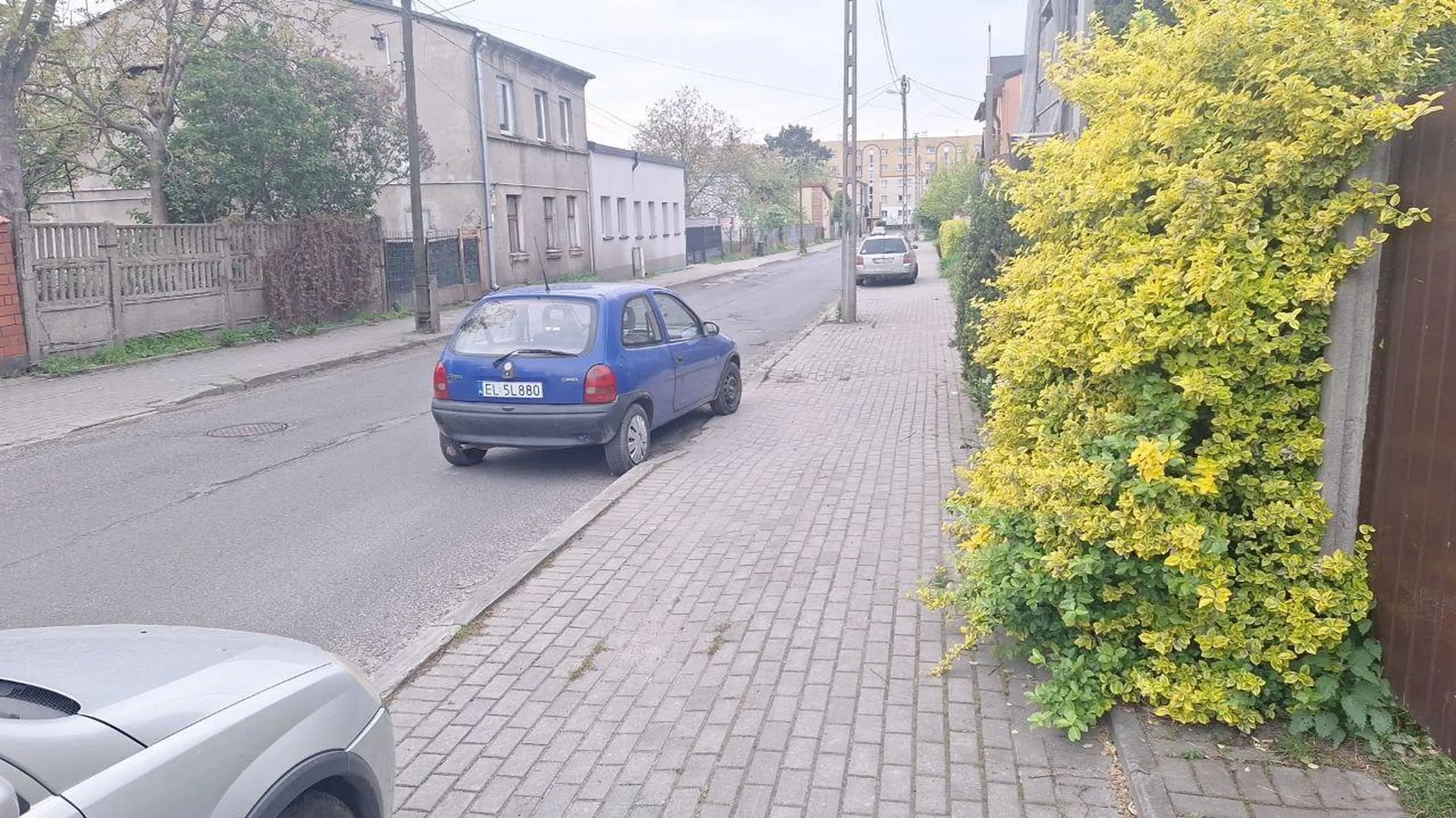 Może niech ta osoba stanie jeszcze na środku jezdni w czym problem.... ul. Dachowa w Łodzi